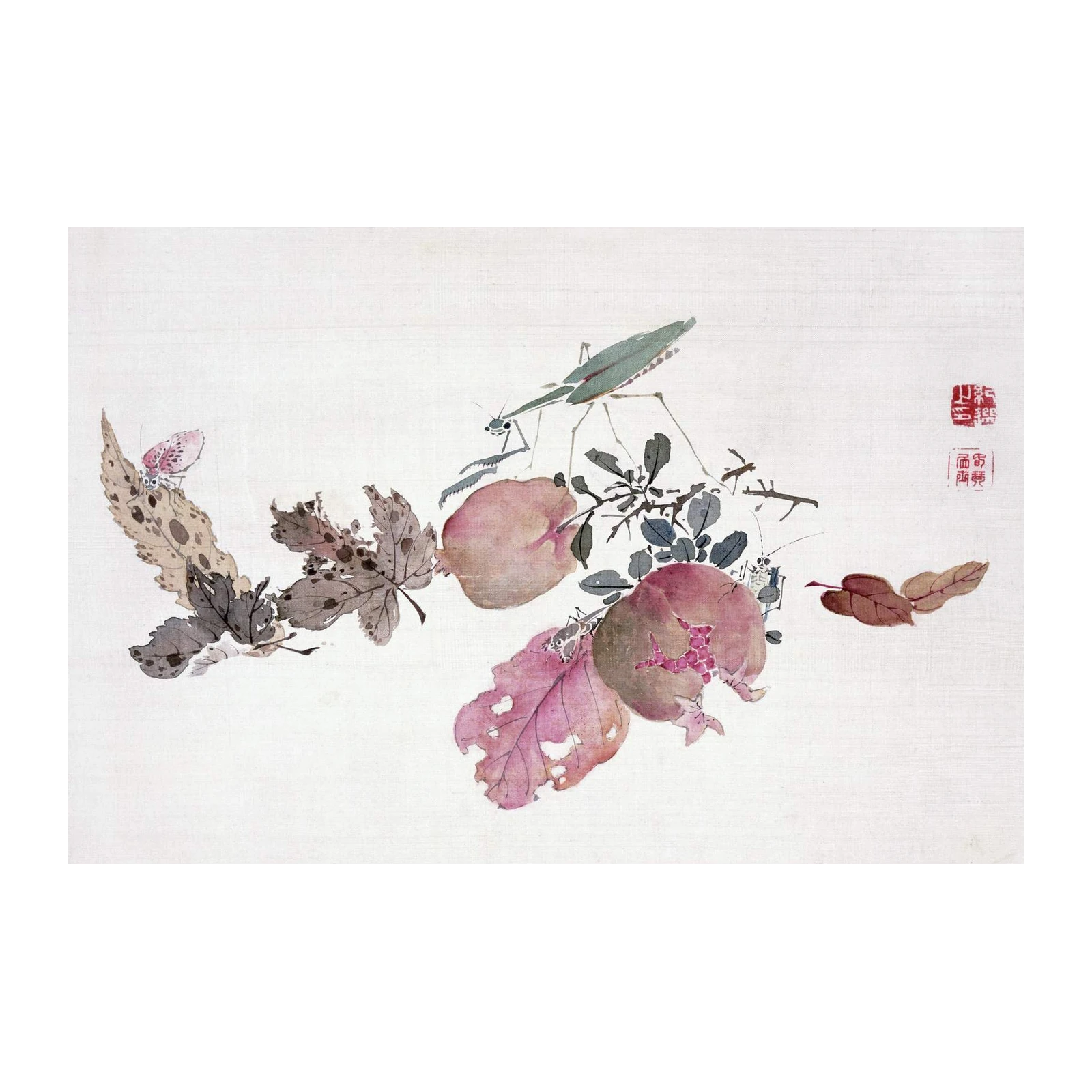 Elegant Praying Mantis & Butterfly Wall Art