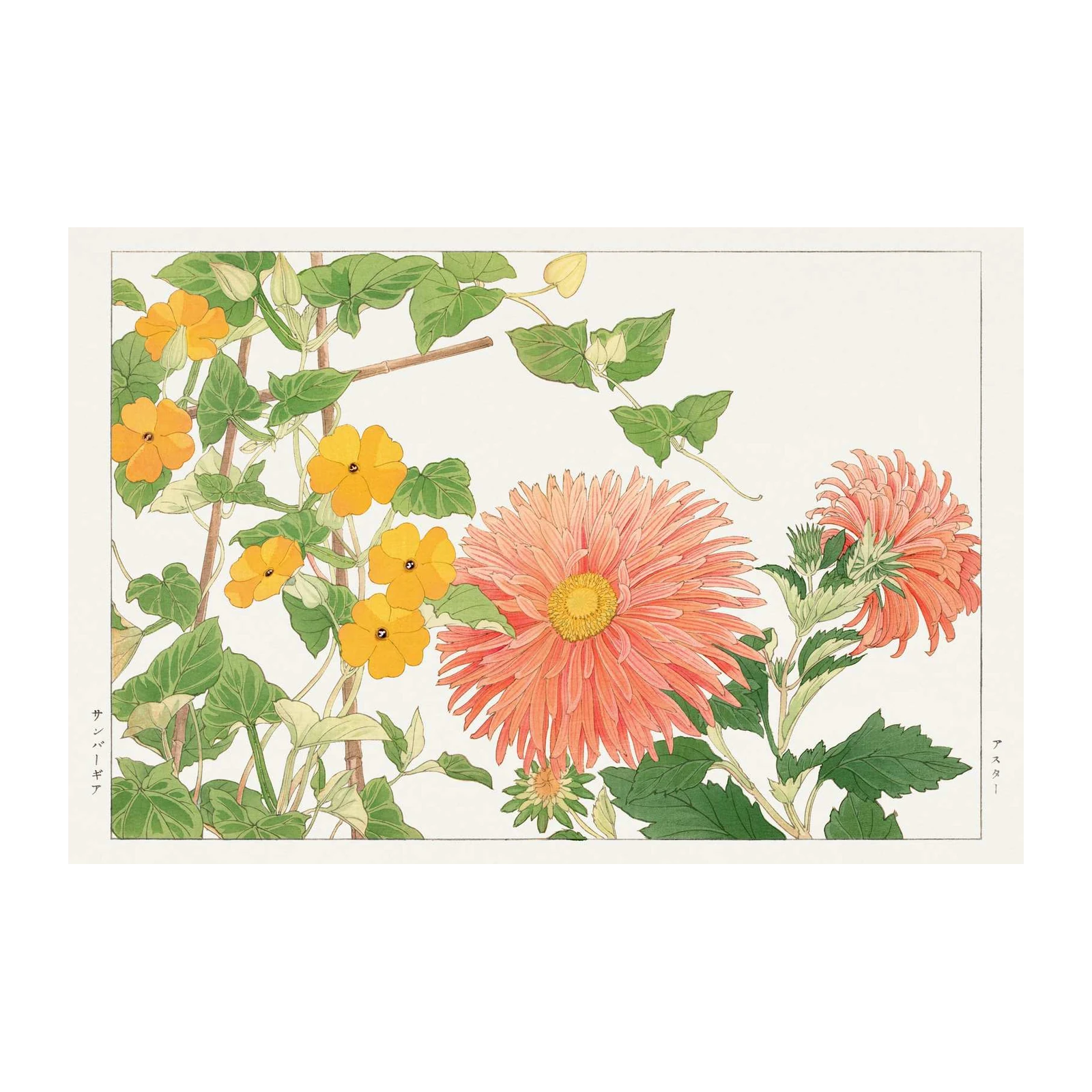Vibrant Floral Japanese Chrysanthemum Wall Art