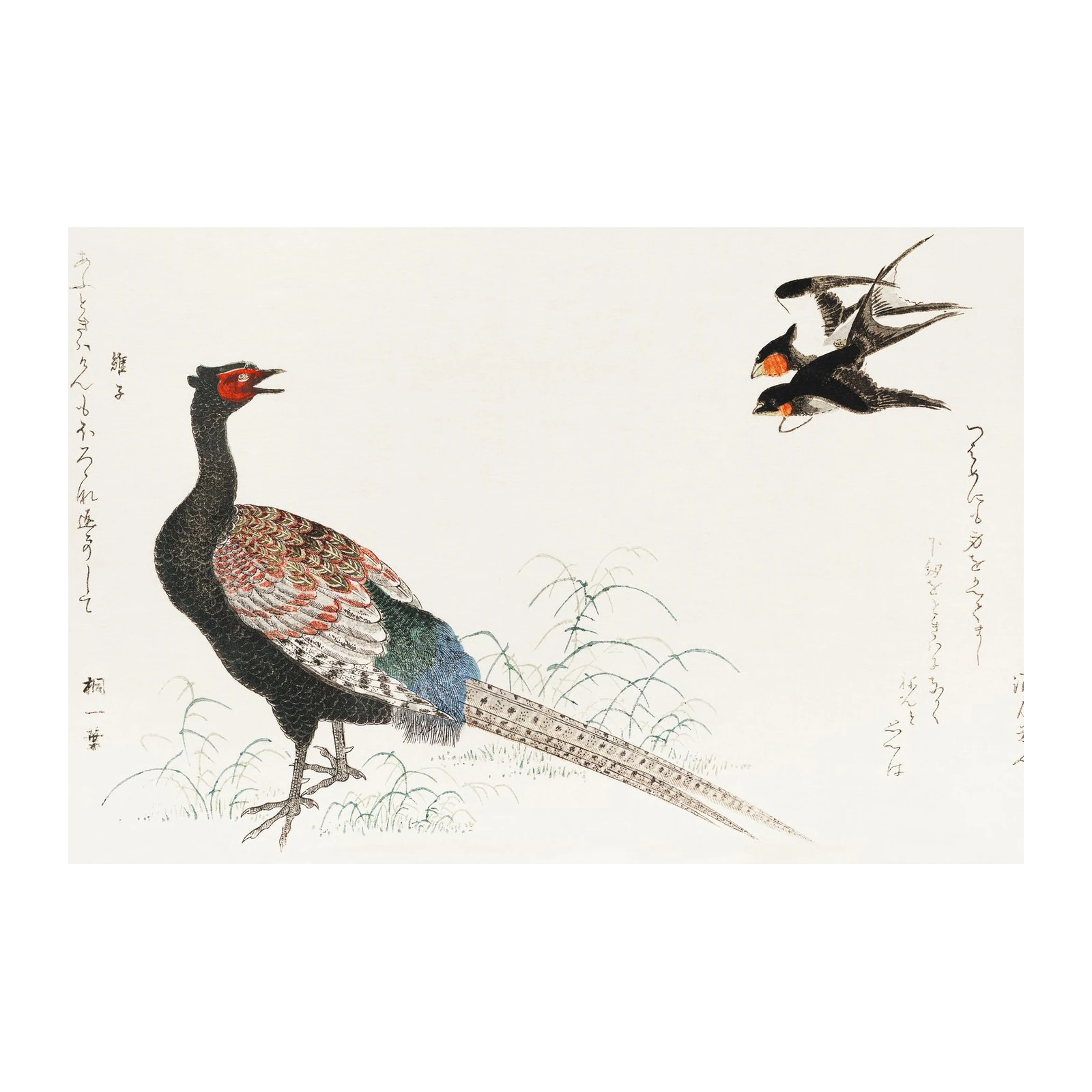 Japanese Pheasant & Swallows Art Wall Art