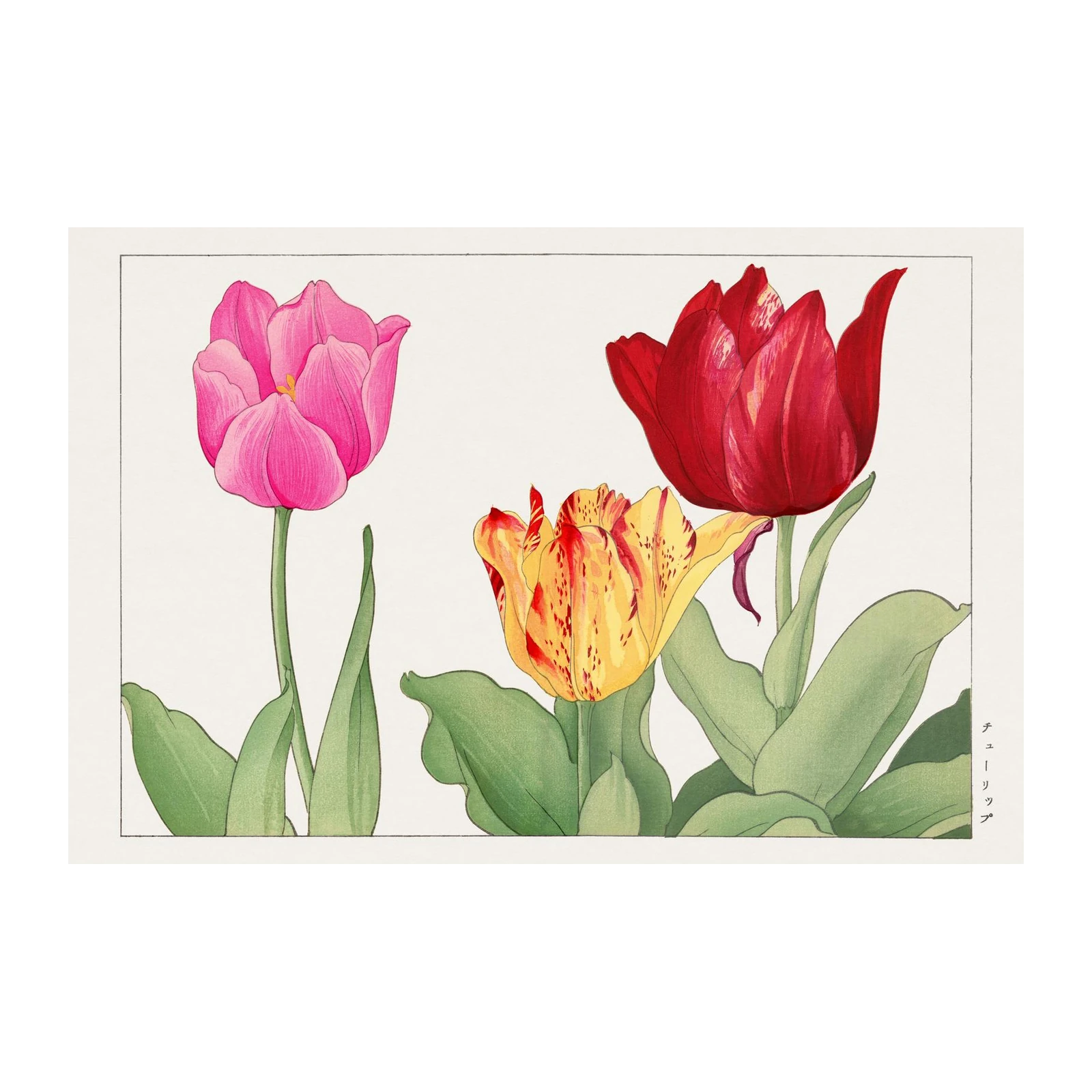 Vibrant Floral Tulip Wall Art Wall Art