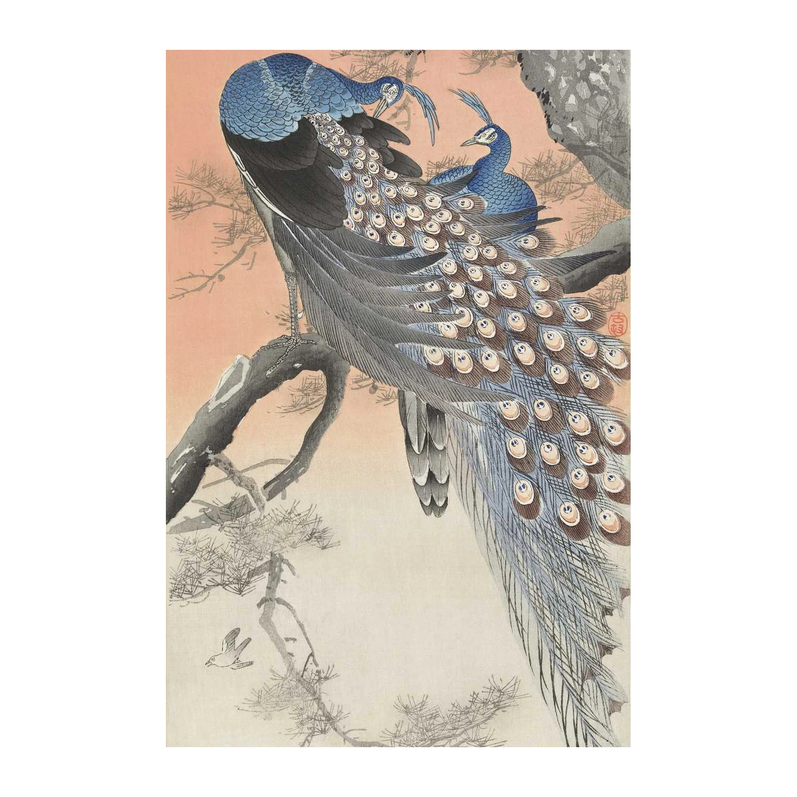 Exotic Peacocks & Pine Trees Wall Art