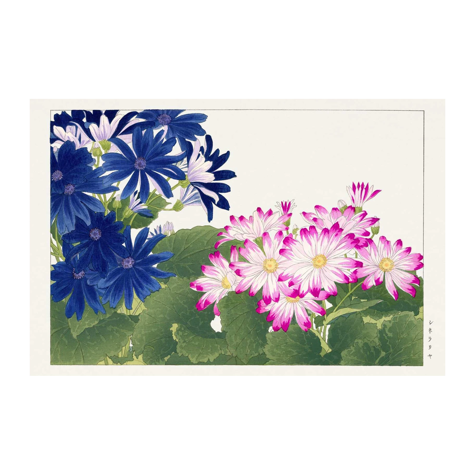 Vibrant Blue & Pink Floral Burst Wall Art
