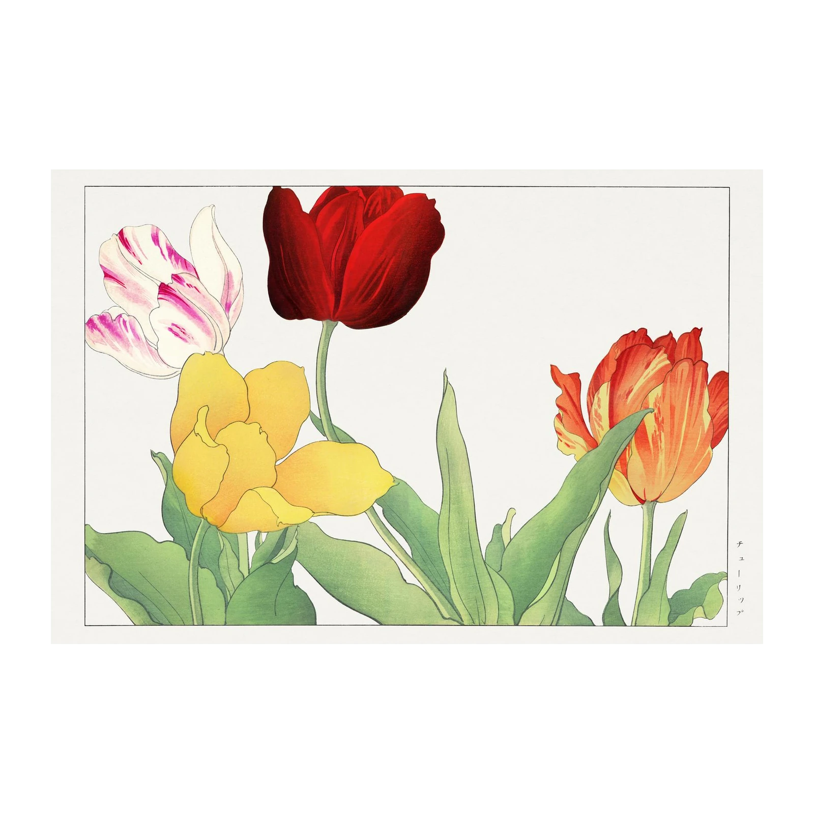 Vibrant Tulip Garden Wall Art