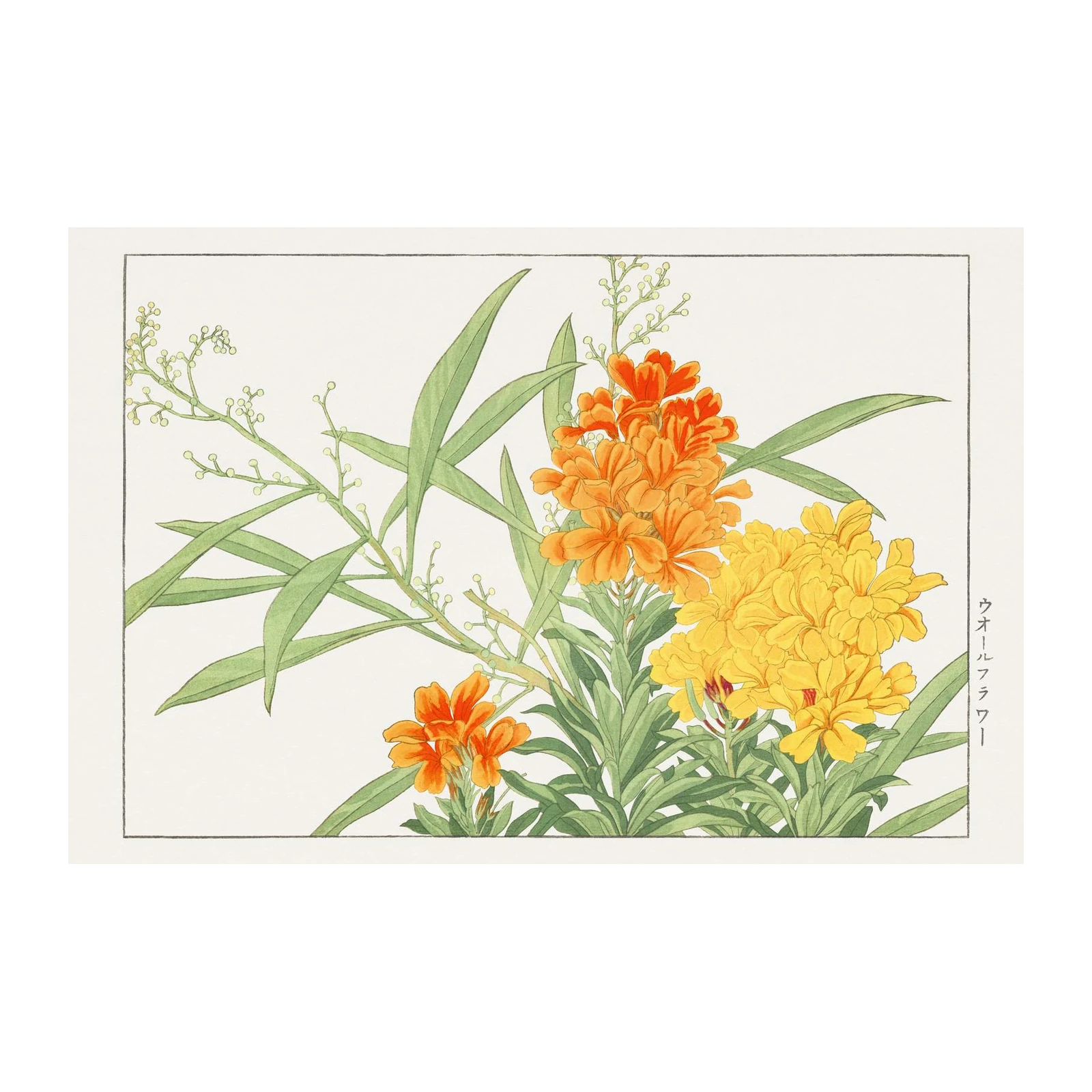 Vibrant Orange & Yellow Floral Botanical Wall Art