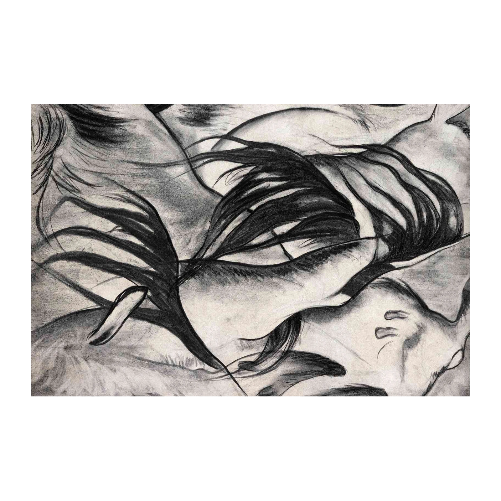 Expressive Charcoal Horse Mane Wall Art