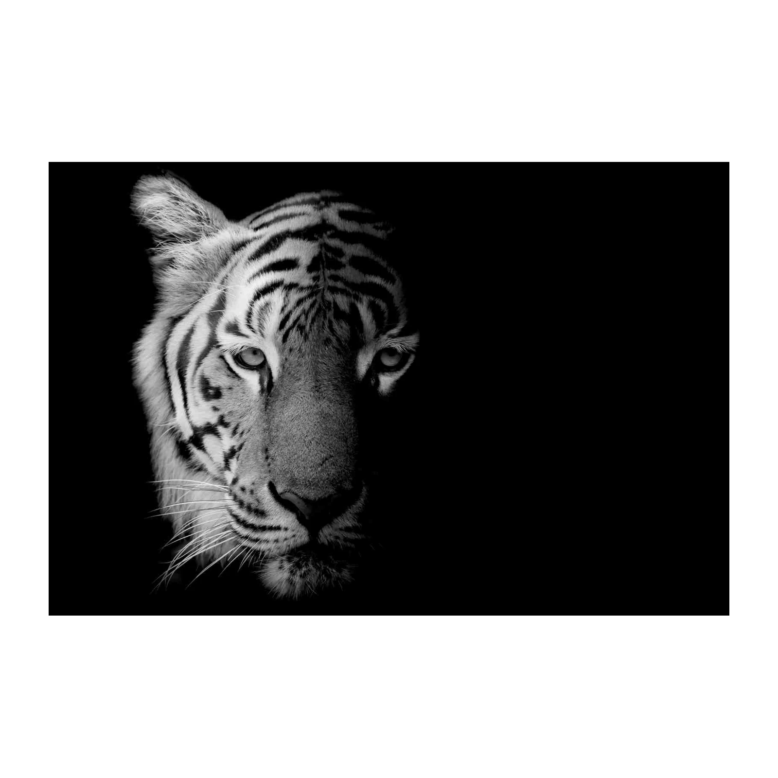 Monochrome Tiger Gaze Wall Art
