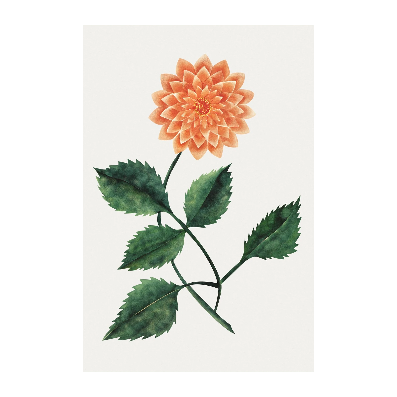 Vibrant Orange Dahlia Botanical Wall Art
