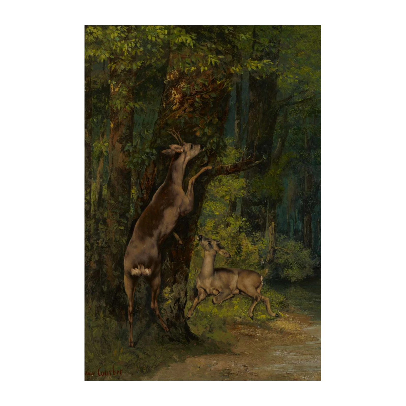 Forest Deer Nature Scene Wall Art