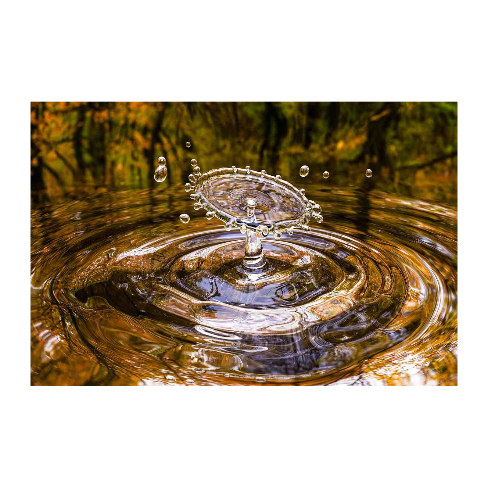 Abstract Water Drop Splash Wall Art