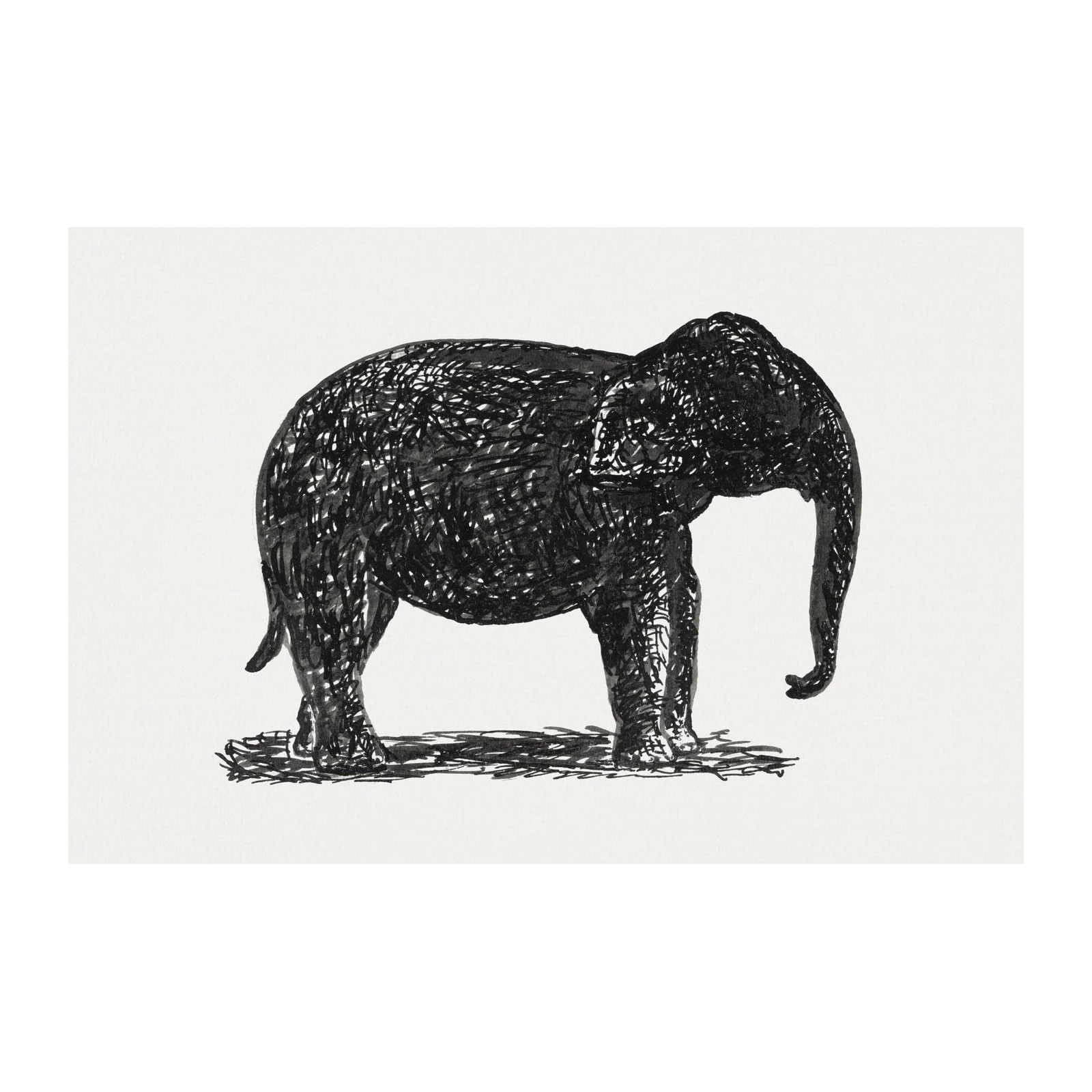 Abstract Elephant Sketch Wall Art Wall Art