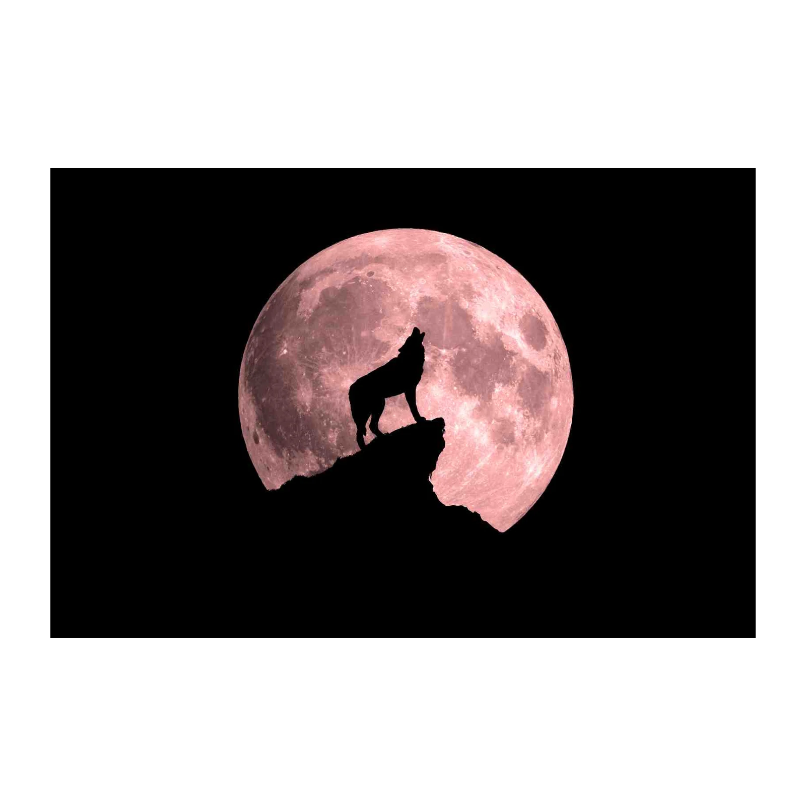 Wolf Howling at Pink Moon Wall Art