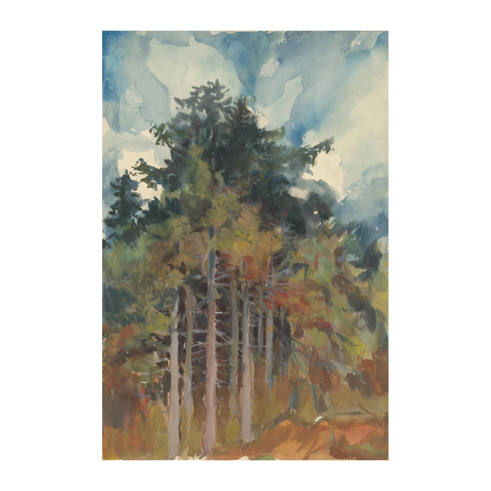 Misty Forest Pines Watercolor Wall Art