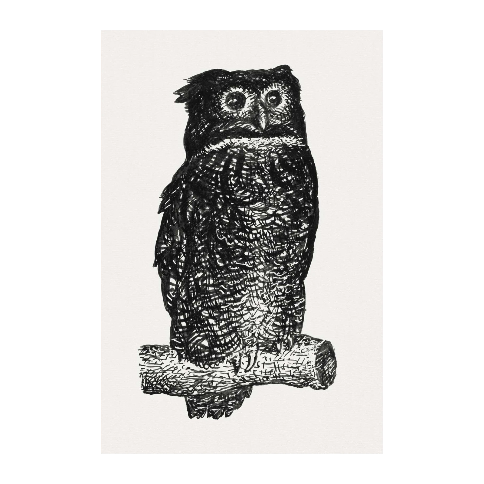 Majestic Owl Ink Drawing Wall Art