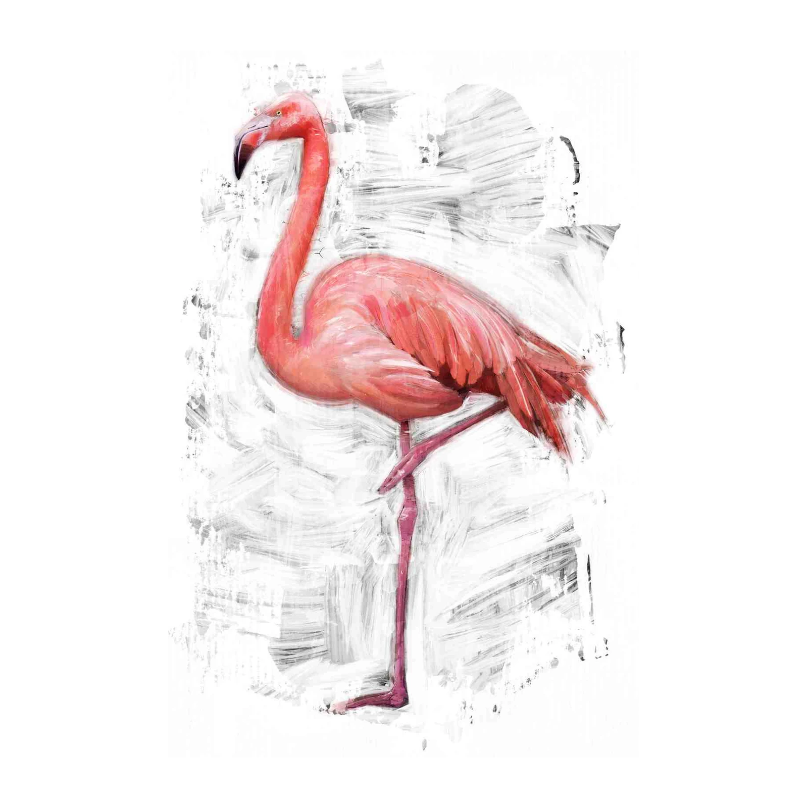 Vibrant Flamingo Art Wall Art