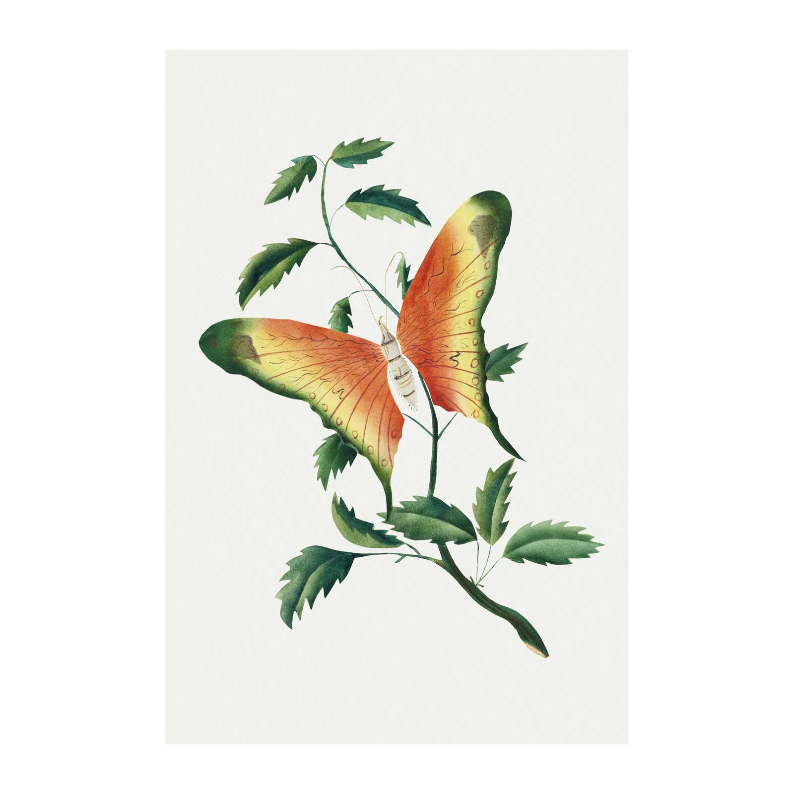 Vintage Monarch Butterfly Nature Art Wall Art