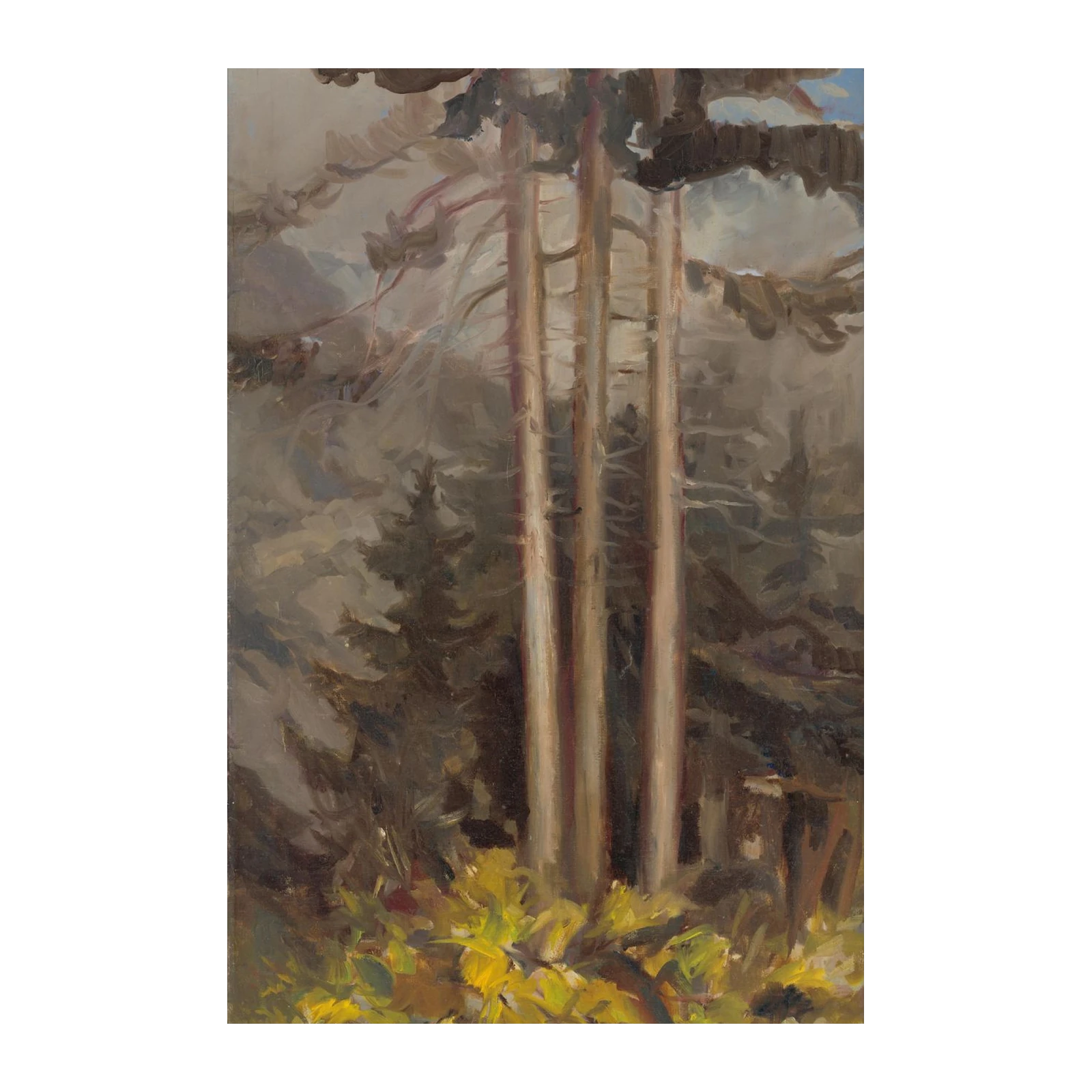 Majestic Forest Trees Wall Art