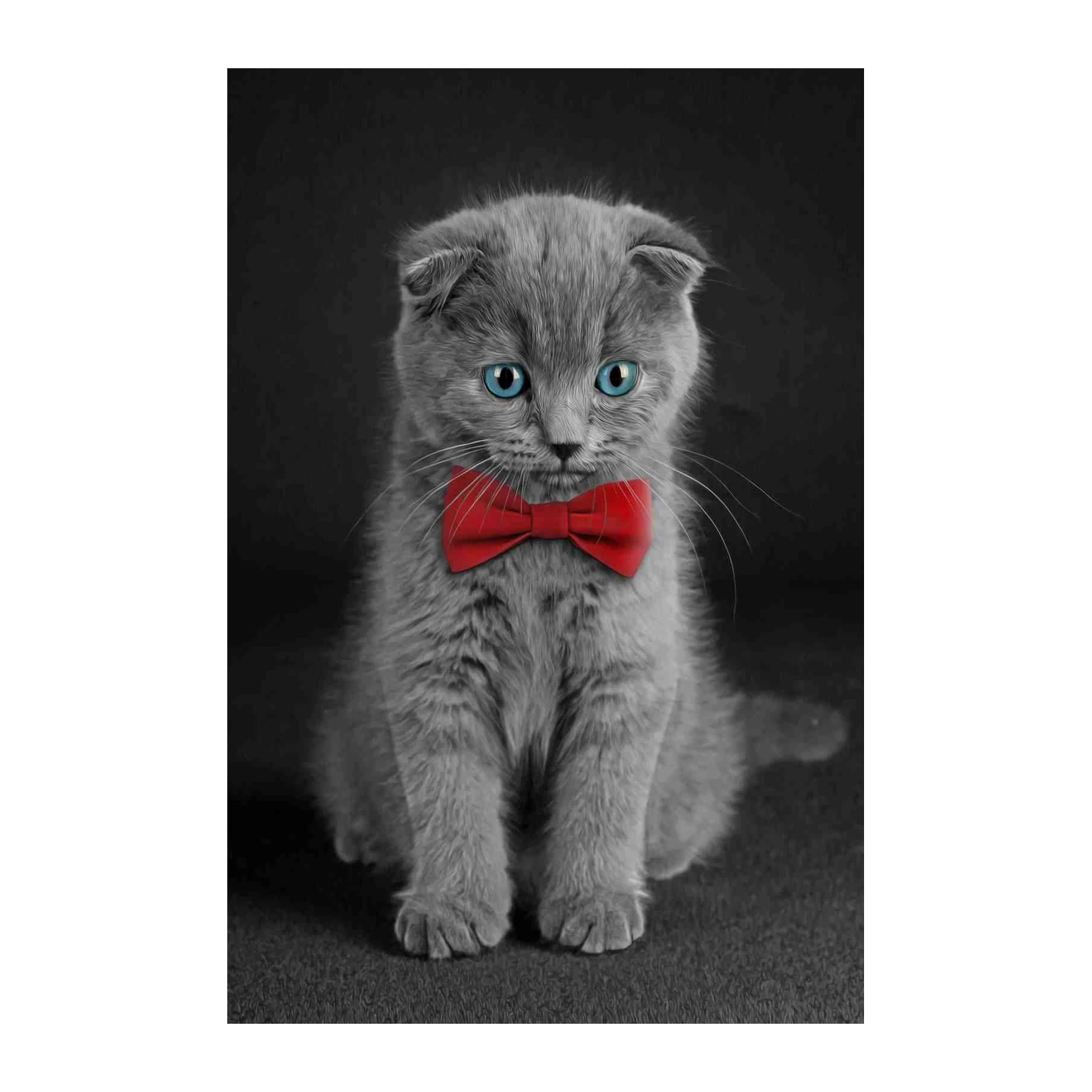 Adorable Scottish Fold Cat Bowtie Wall Art