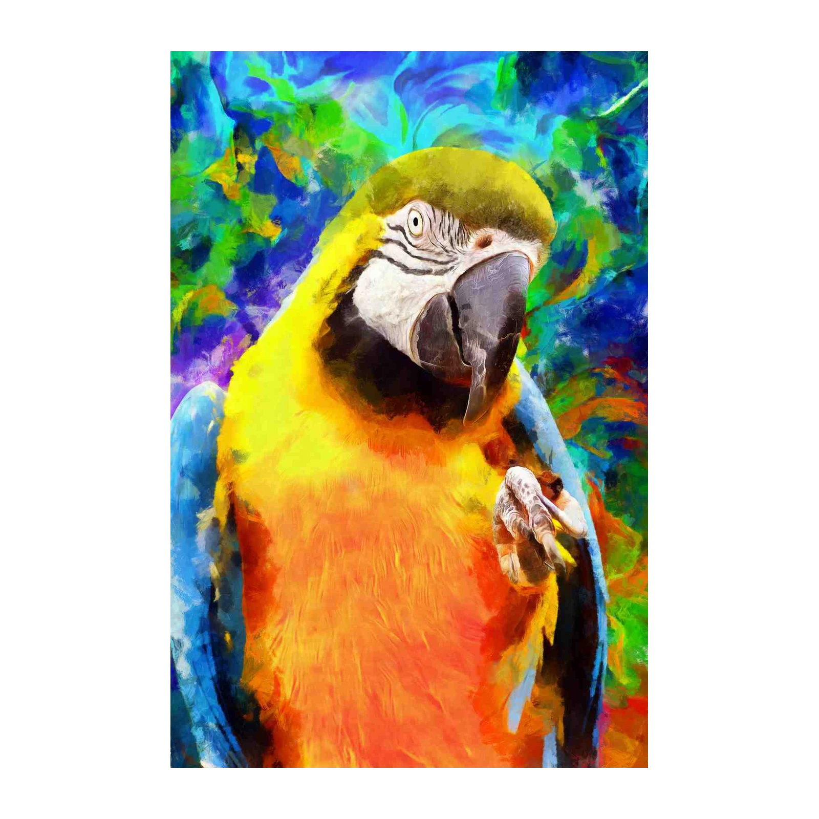 Vibrant Macaw Tropical Bird Wall Art Wall Art