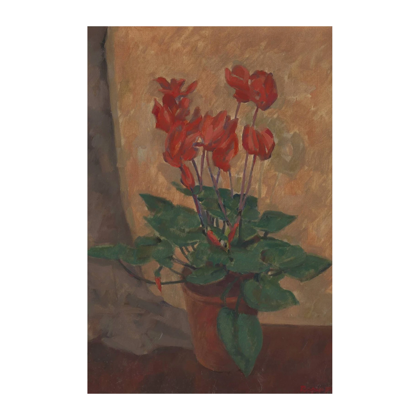 Vibrant Red Cyclamen Still Life Wall Art