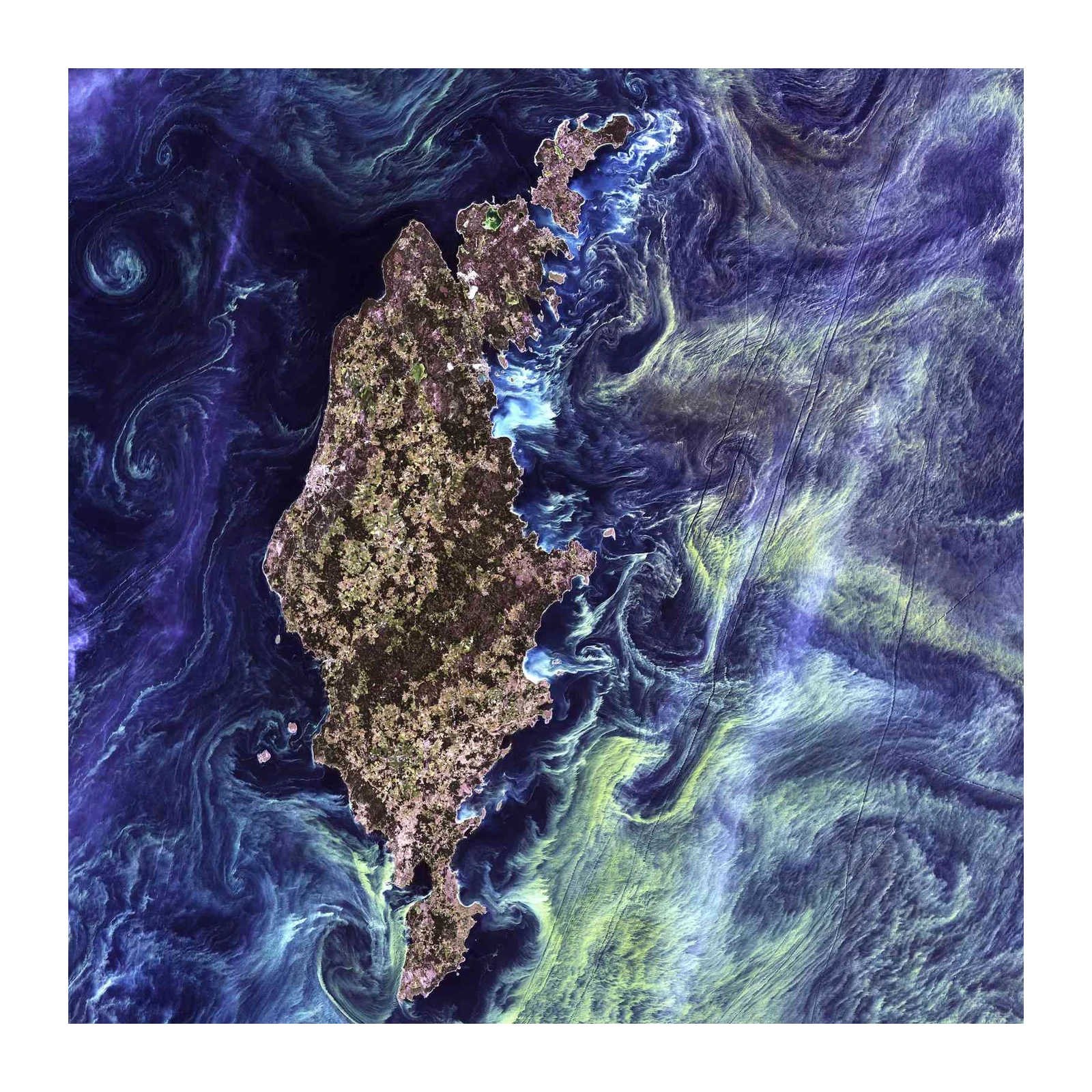 Ocean Currents Satellite Art Wall Art