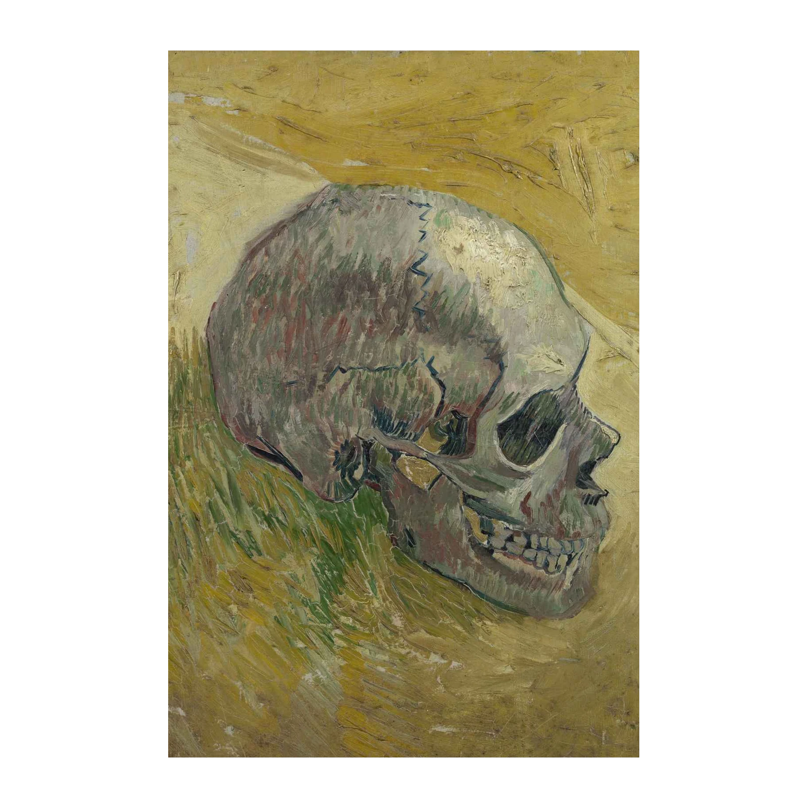Van Gogh Skull Still Life Wall Art
