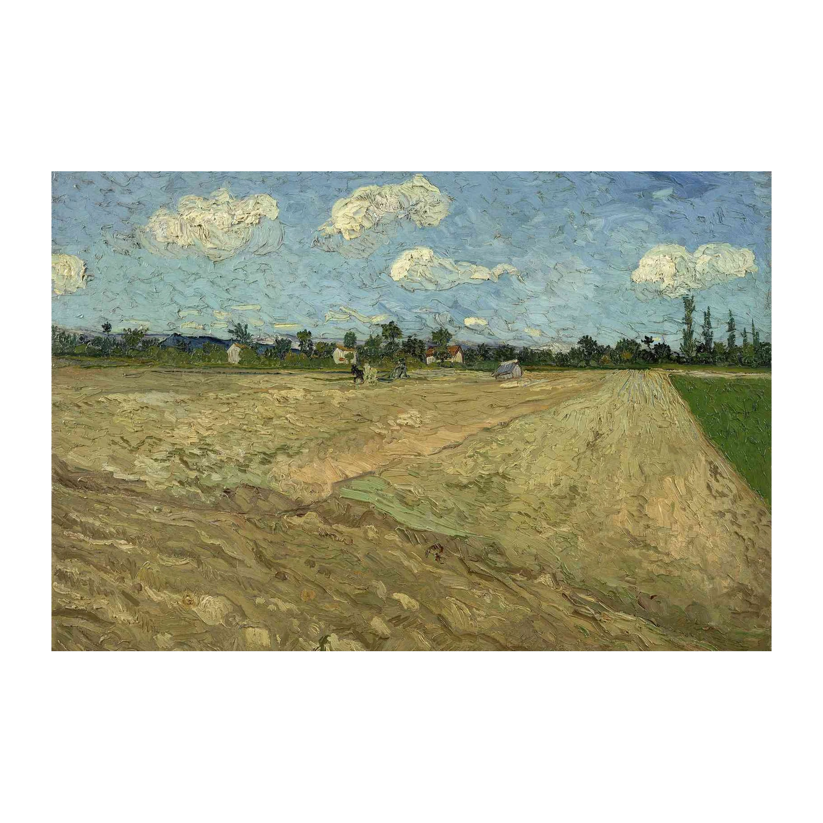 Van Gogh Plowed Field Wall Art
