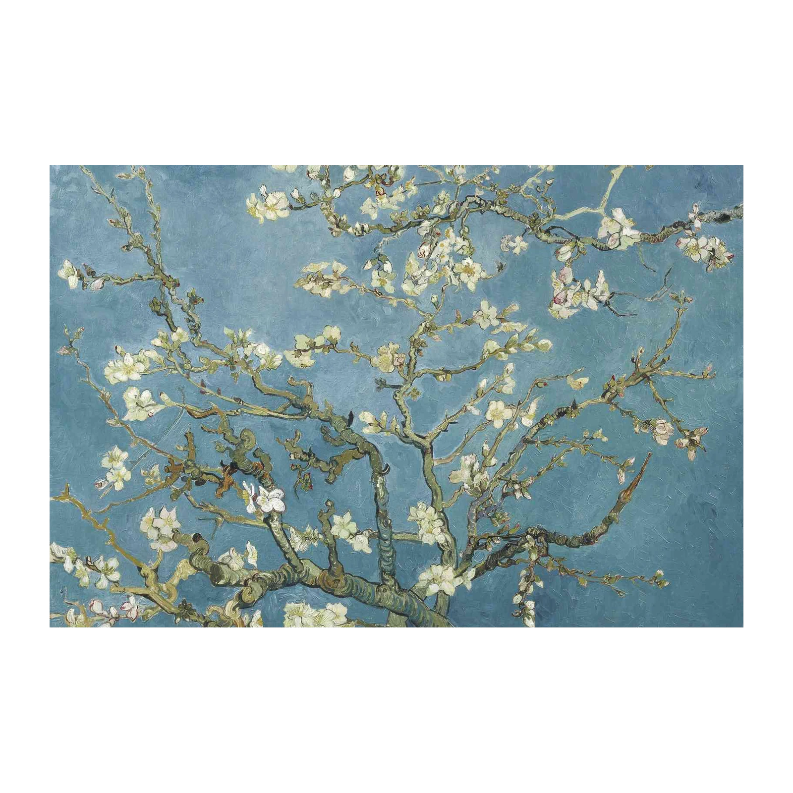 Van Gogh Almond Blossoms Wall Art Wall Art