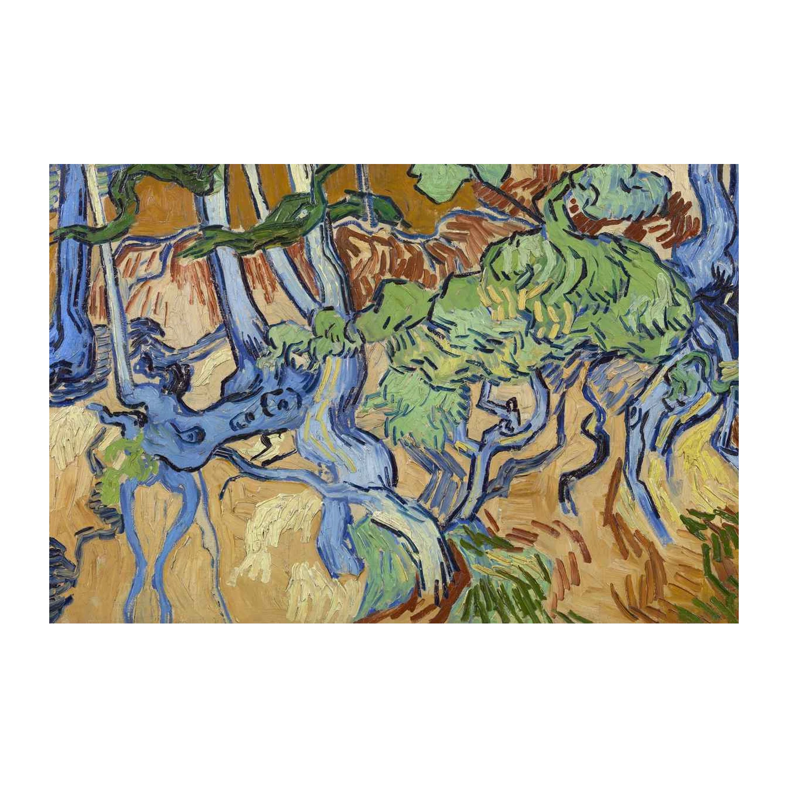 Van Gogh Olive Grove Wall Art for Home Decor