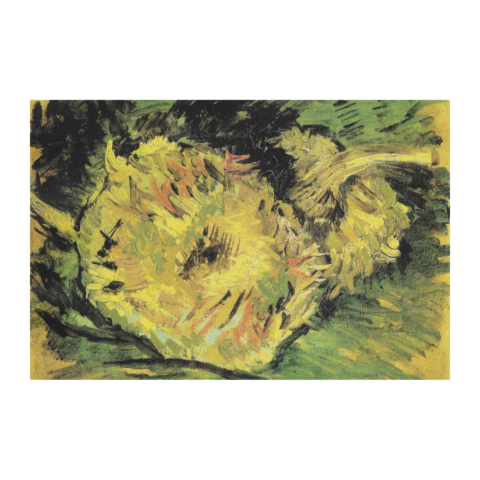 Vibrant Yellow Floral Impressionist Wall Art