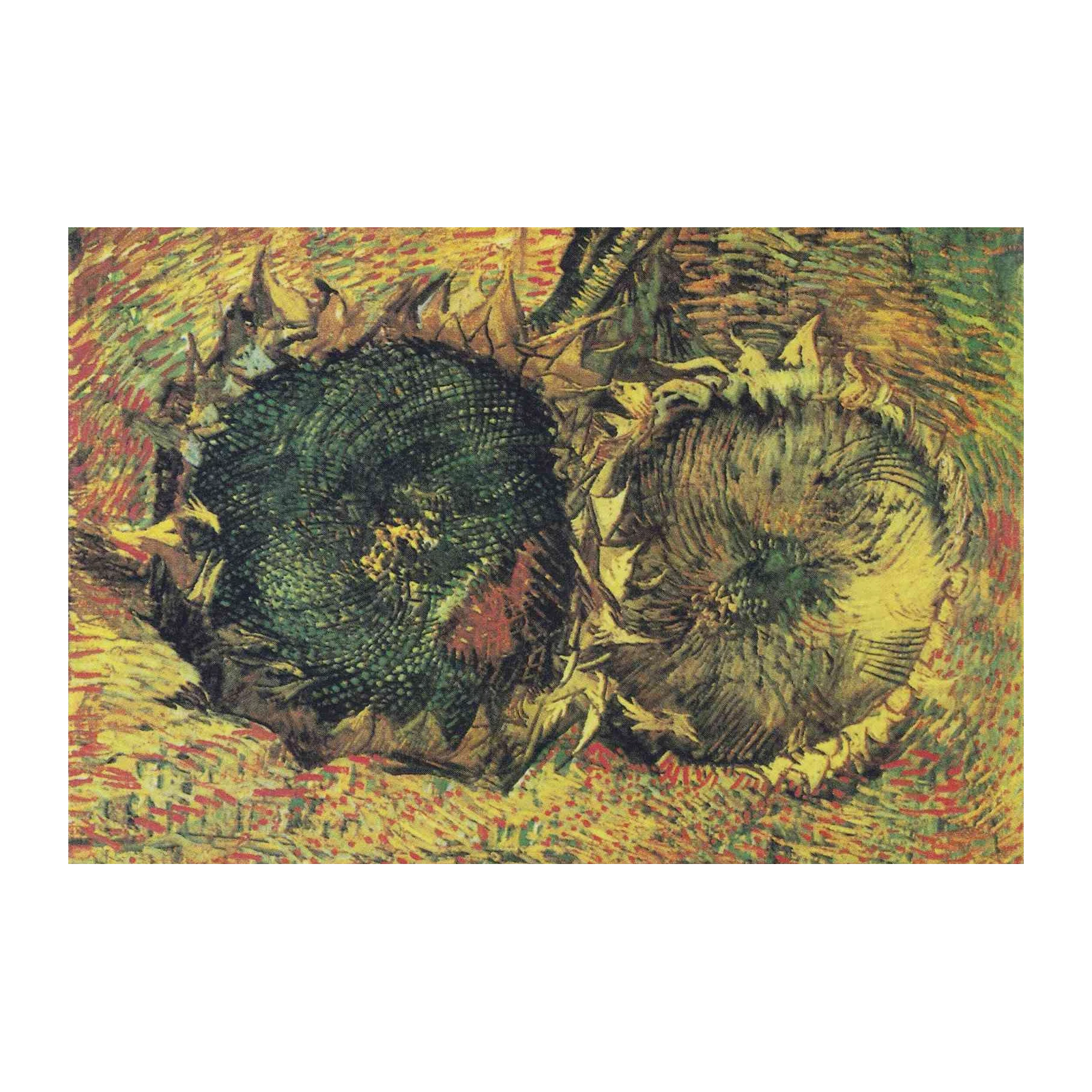 Vincent van Gogh Sunflowers II Wall Art