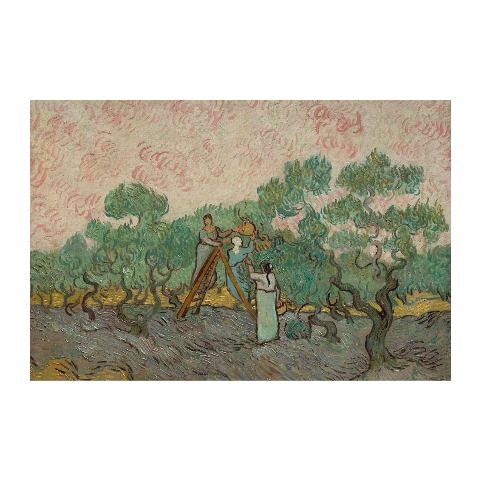 Van Gogh's Olive Harvest Wall Art
