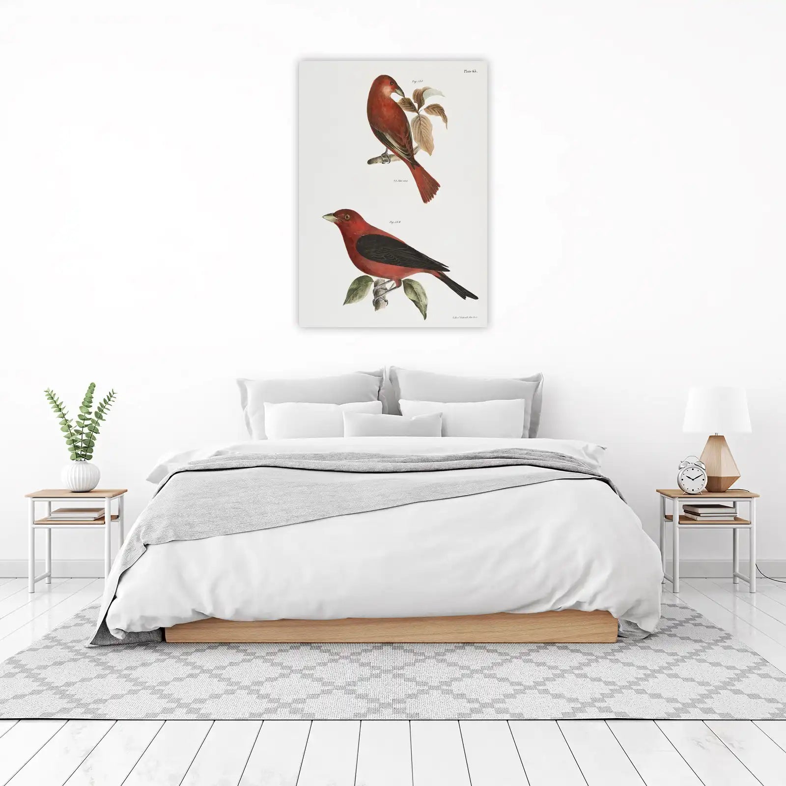 Vintage Scarlet Tanager Birds Wall Art