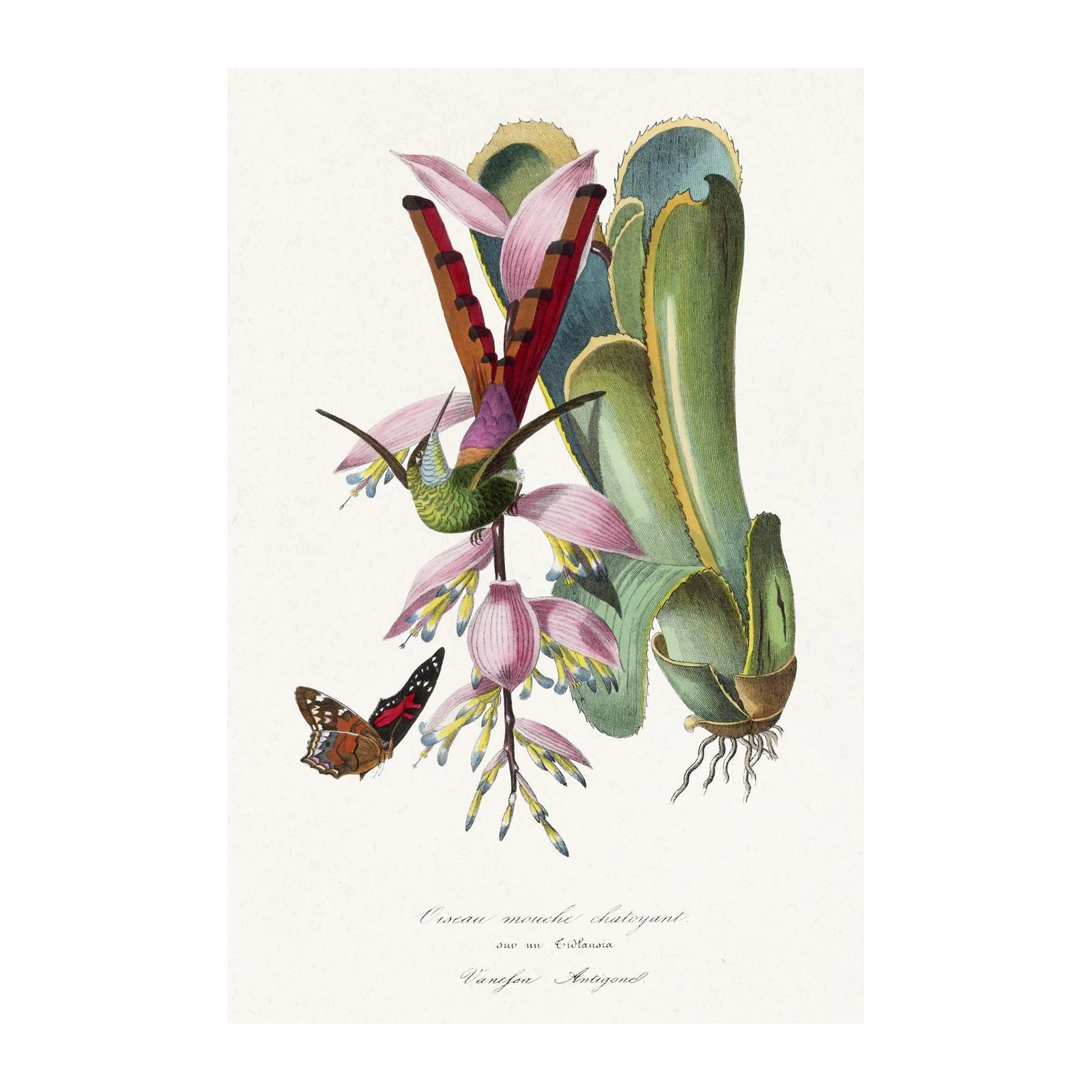 Vintage Hummingbird & Butterfly Botanical Wall Art
