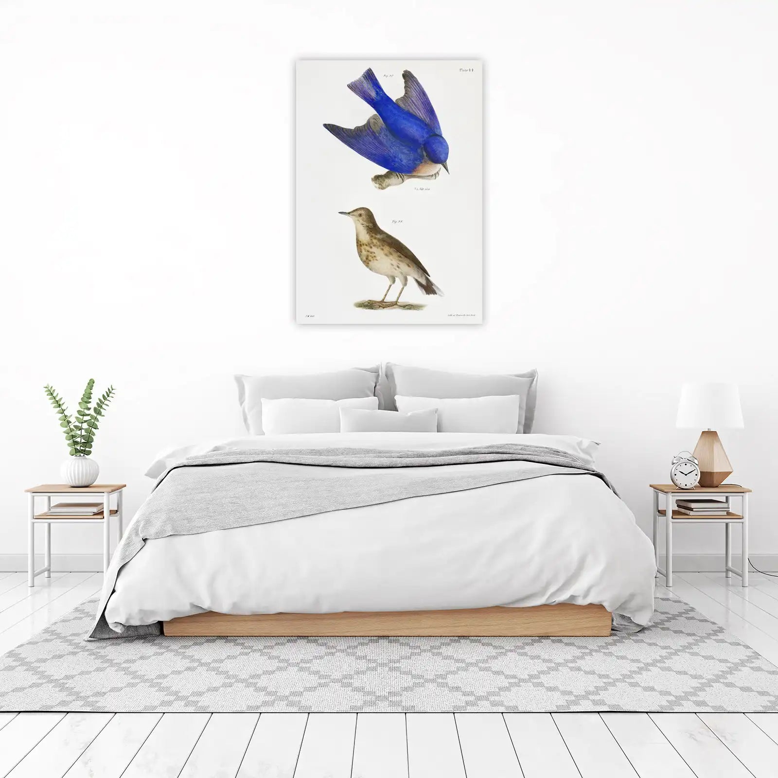 Vintage Bluebird & Songbird Art Wall Art