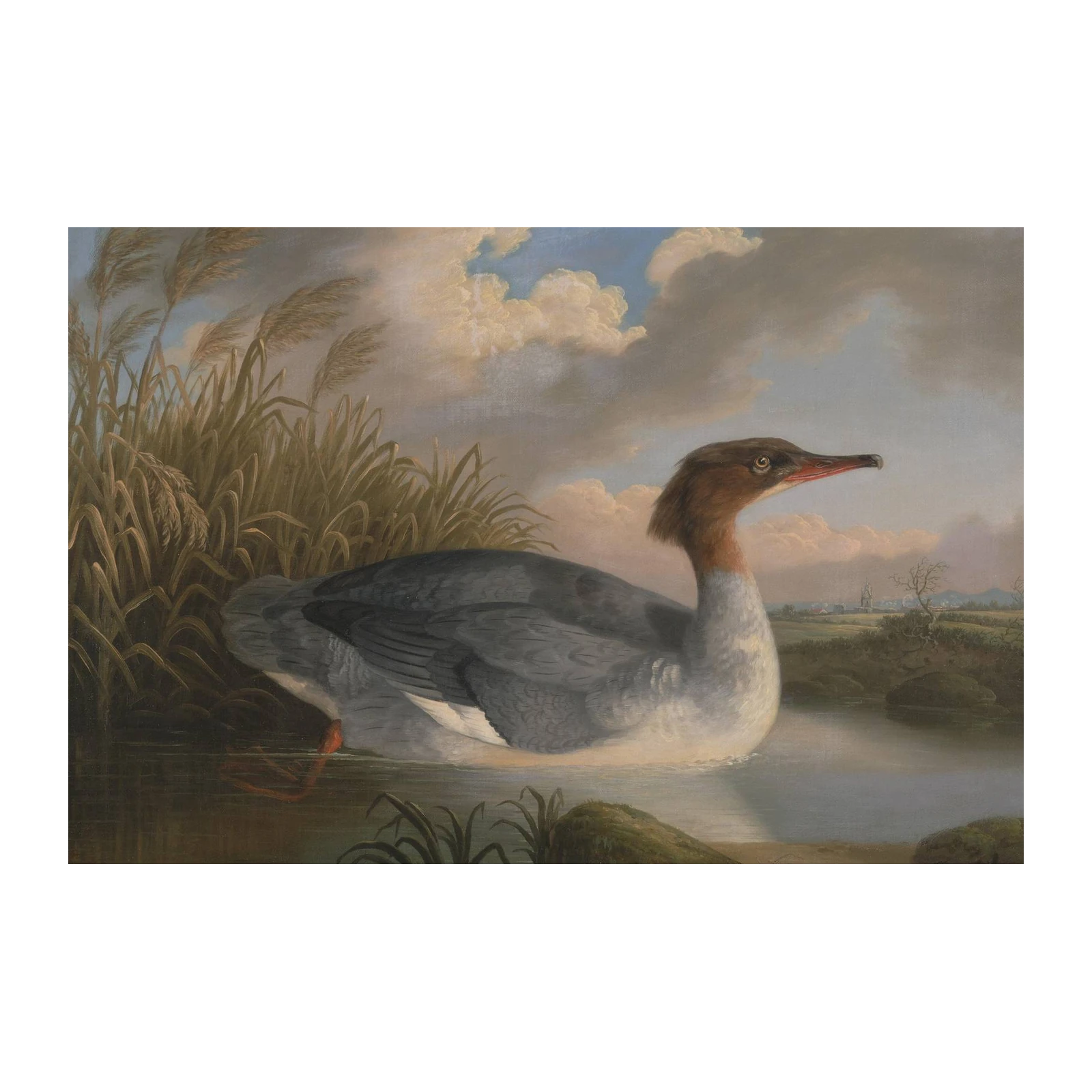 Serene Waters Duck Art Wall Art