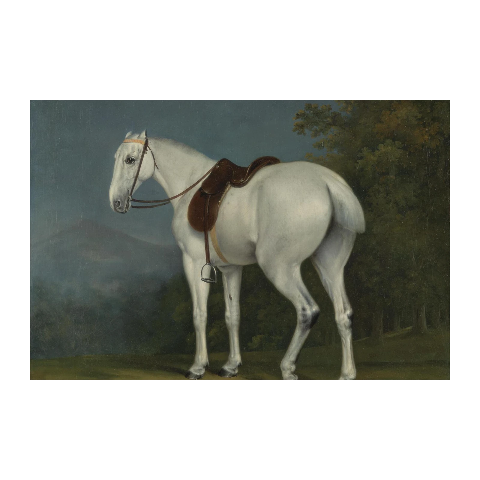 Elegant White Horse Saddle Portrait Wall Art