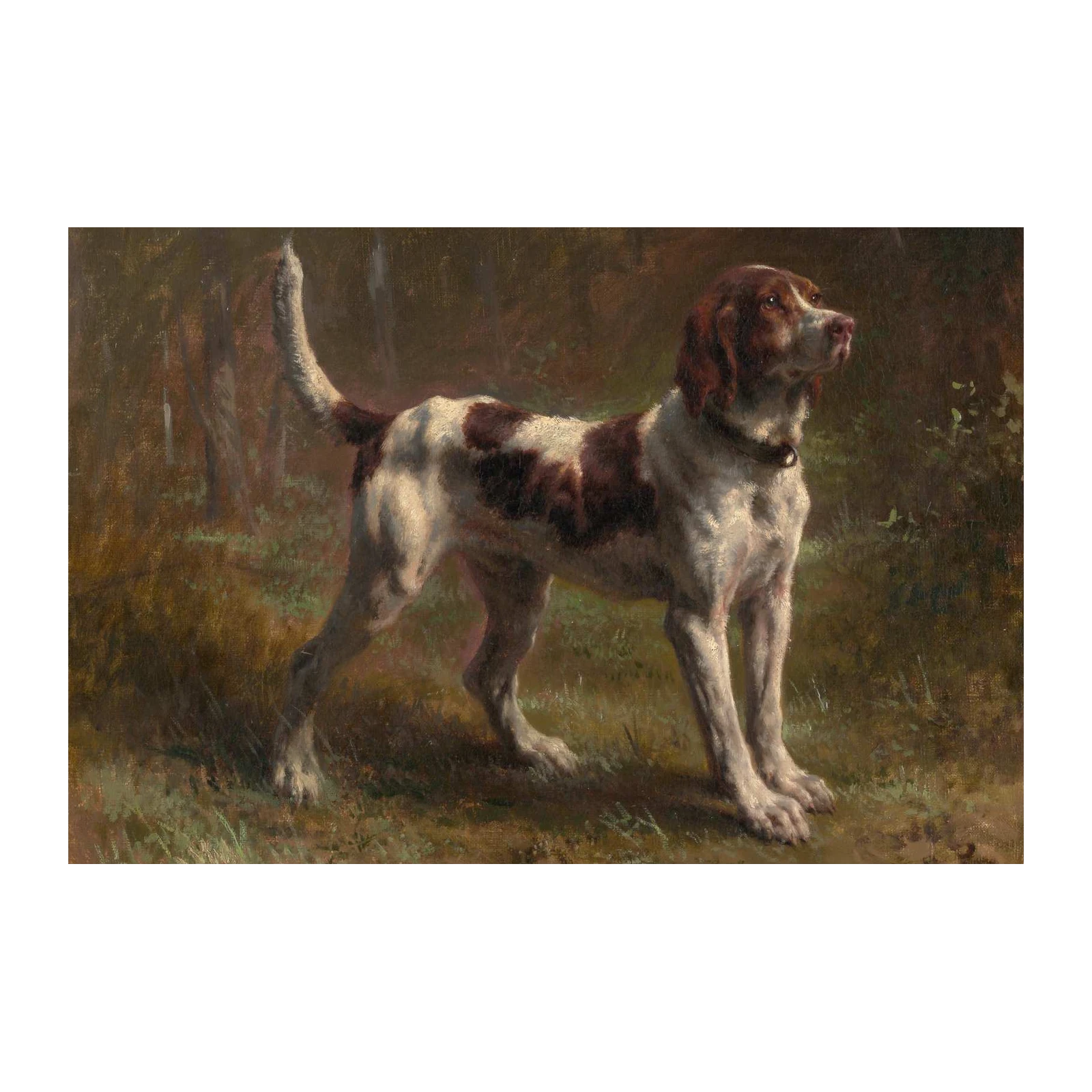 Elegant Hunting Dog Portrait Wall Art