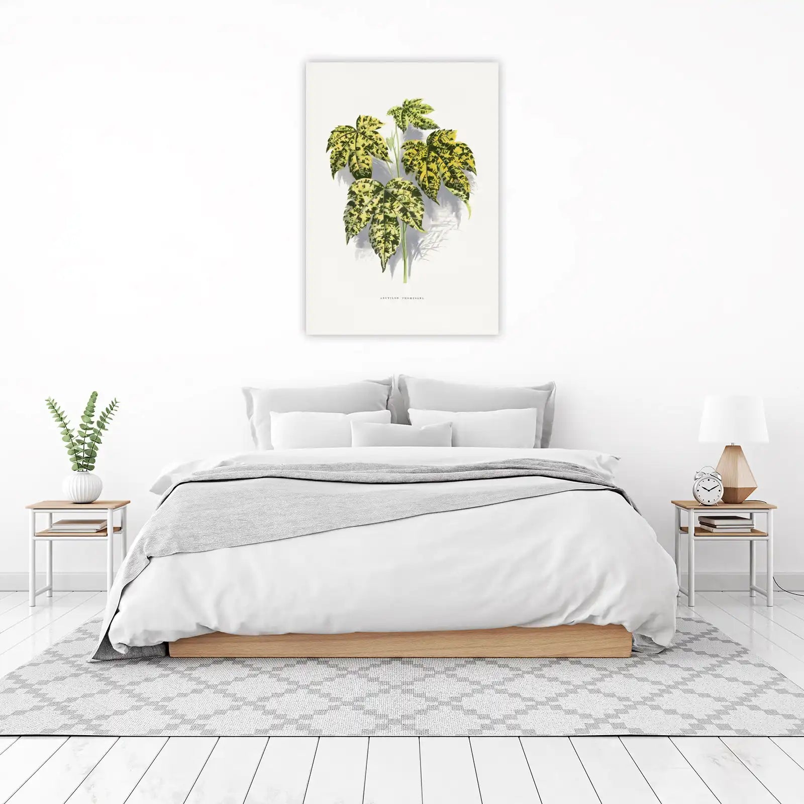 Abutilon Thompsonii Botanical Art Wall Art