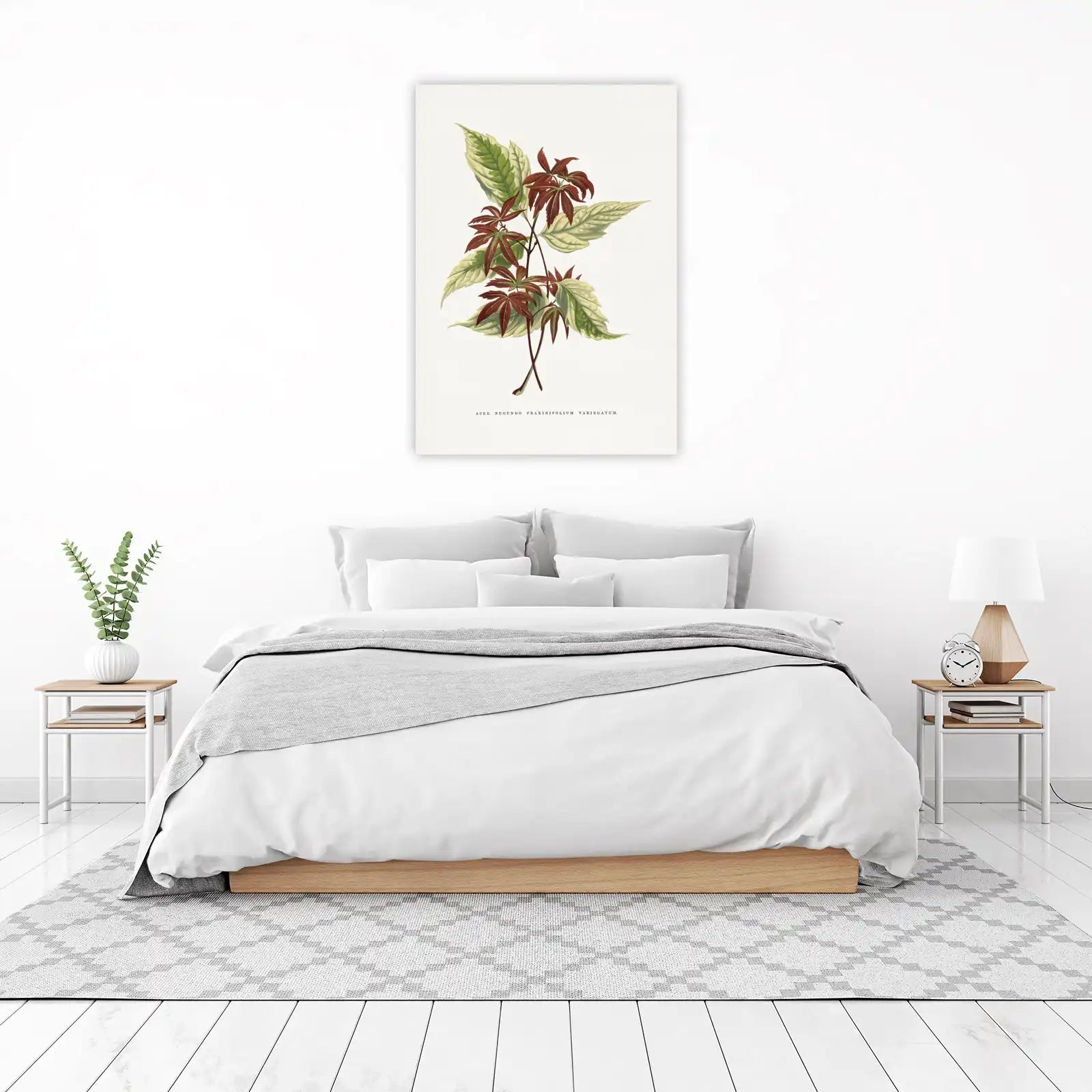 Botanical Maple Leaf Vintage Wall Art