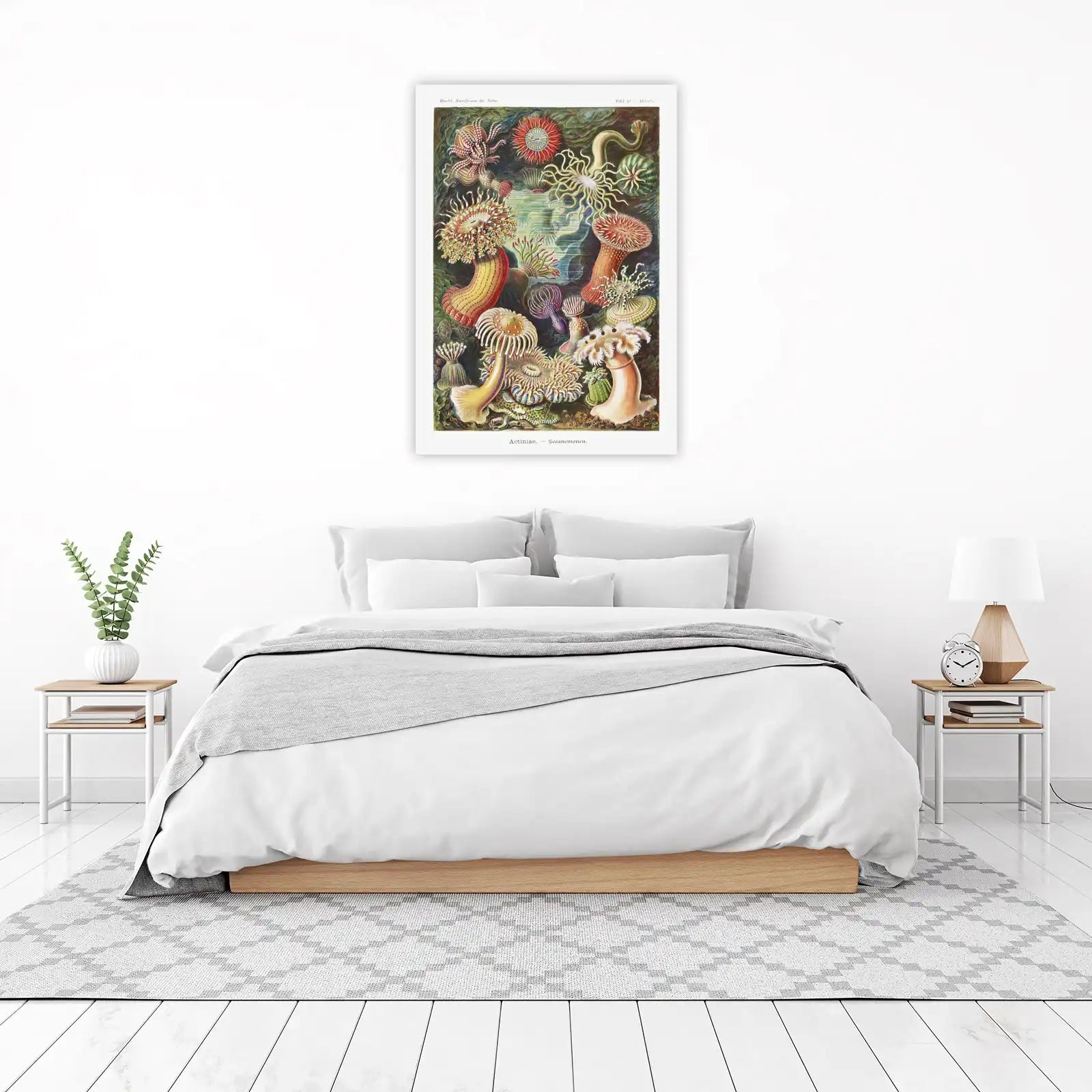 Vintage Sea Anemone Art Wall Art