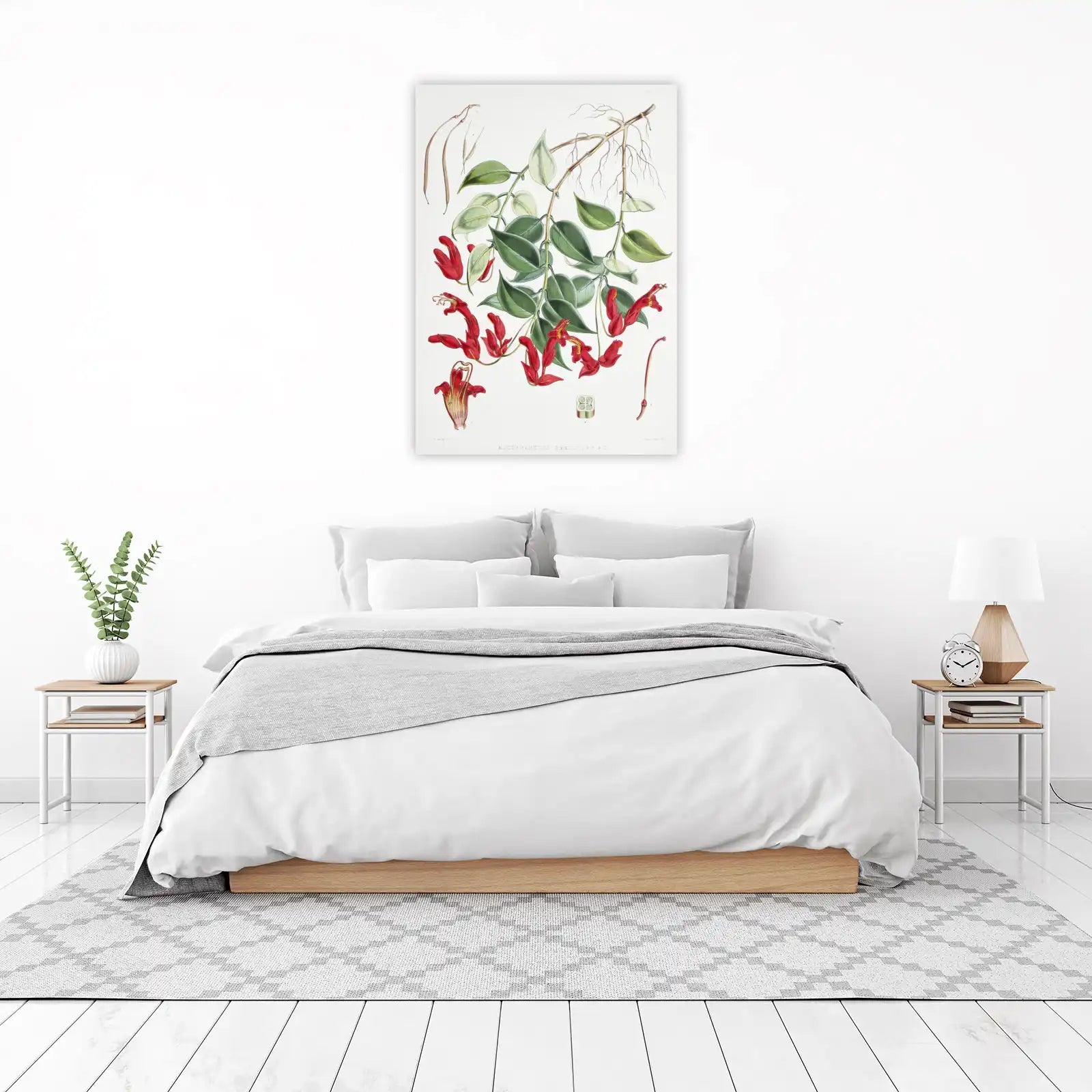 Vibrant Red Tecoma Plant Botanical Art Wall Art