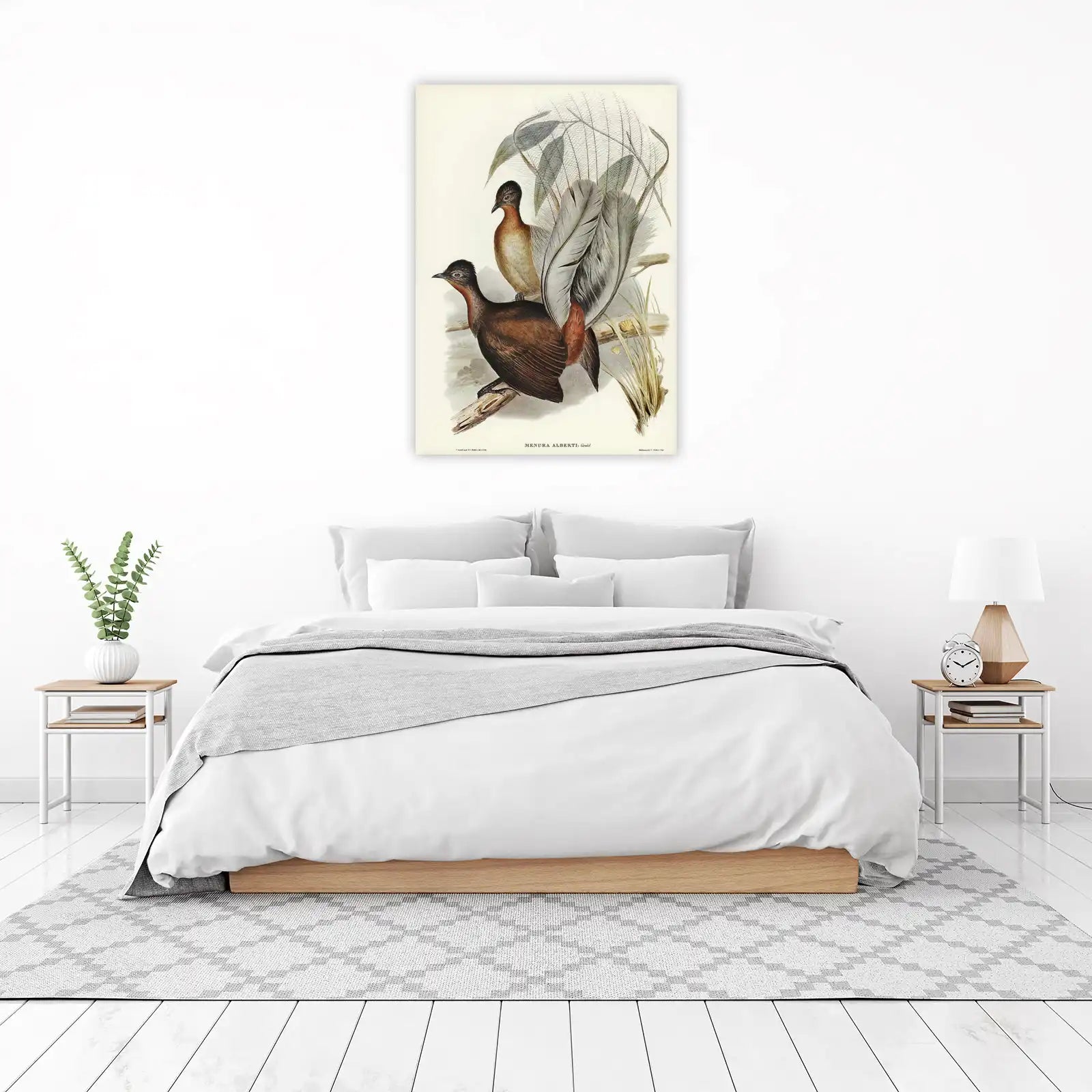Exotic Lyrebird Art Wall Art - Vintage Bird Decor