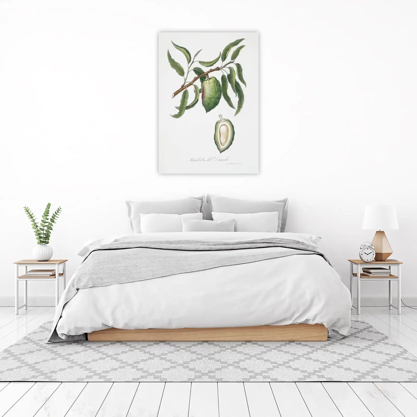 Vintage Almond Botanical Art Wall Art