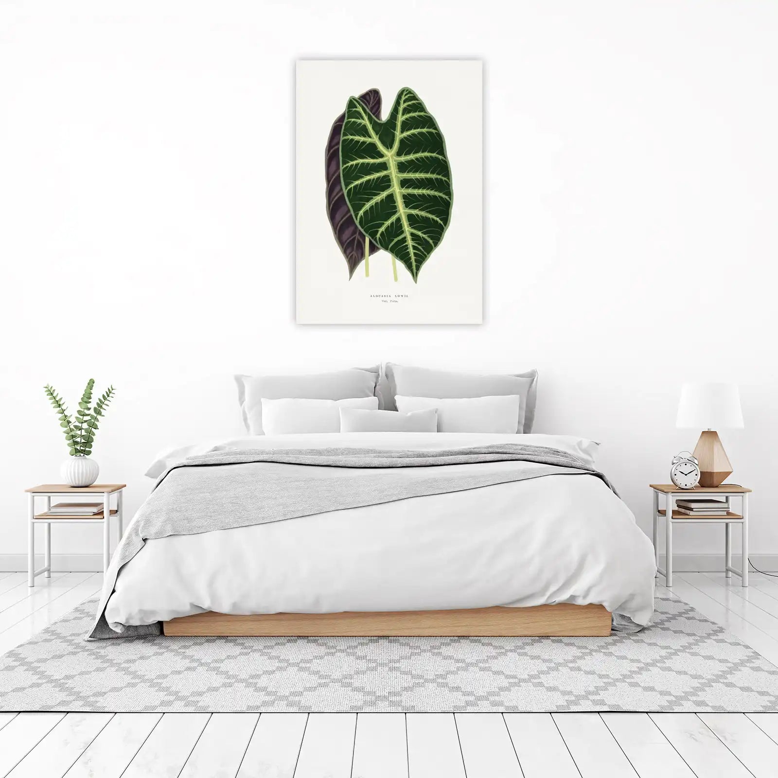 Alocasia Lowii Botanical Art Wall Art