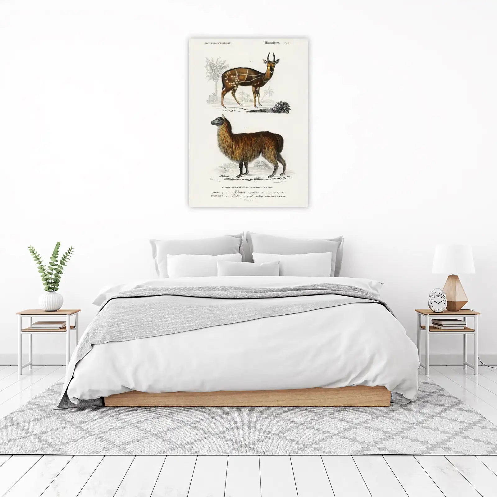Vintage Alpaca & Antelope Wall Art Wall Art