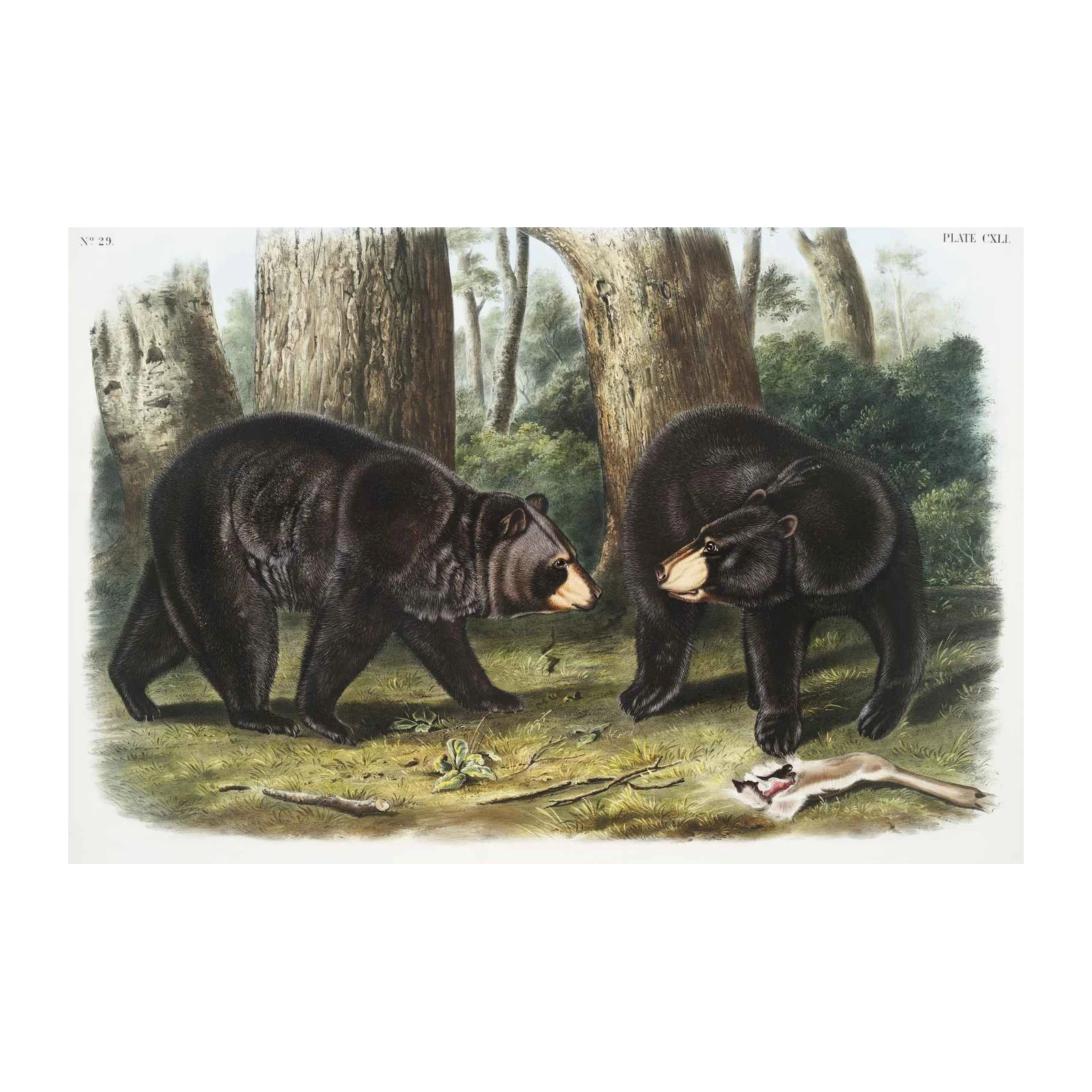 American Black Bears Forest Wall Art
