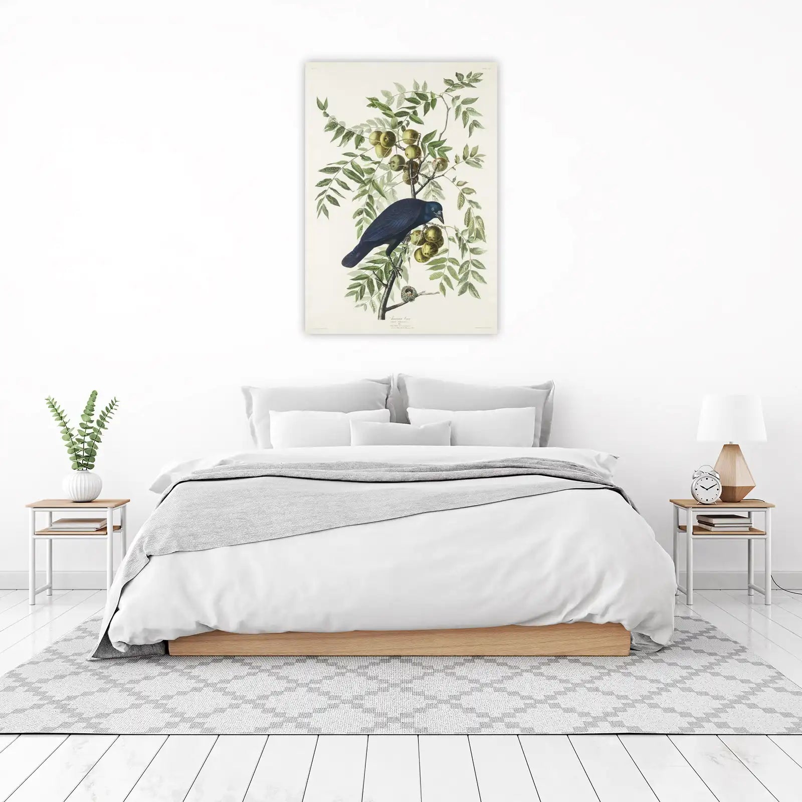 American Crow with Walnuts Art Wall Art