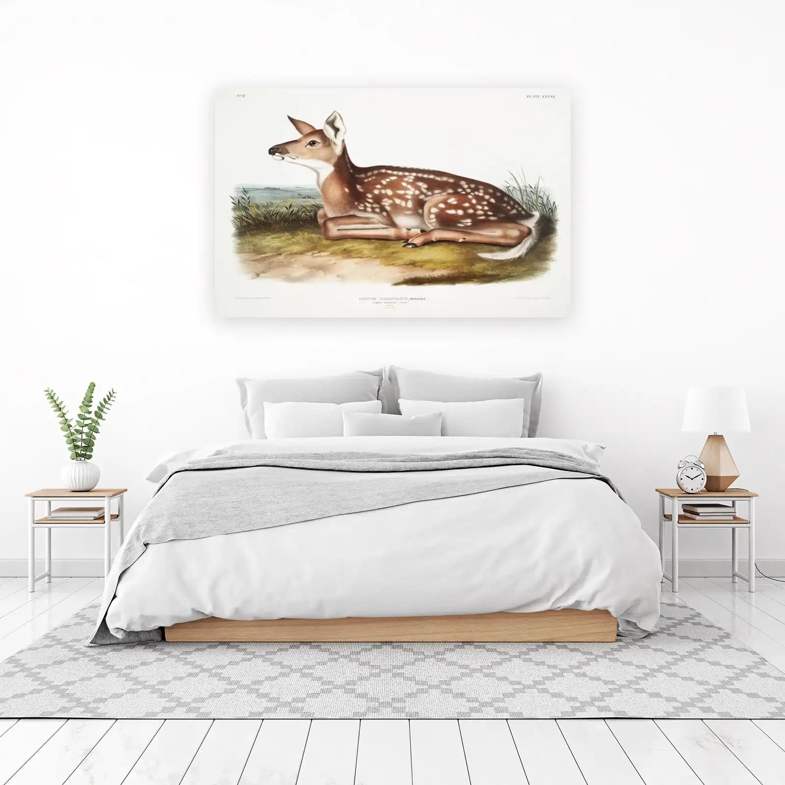 Vintage Fawn "White-tailed Deer" Wall Art
