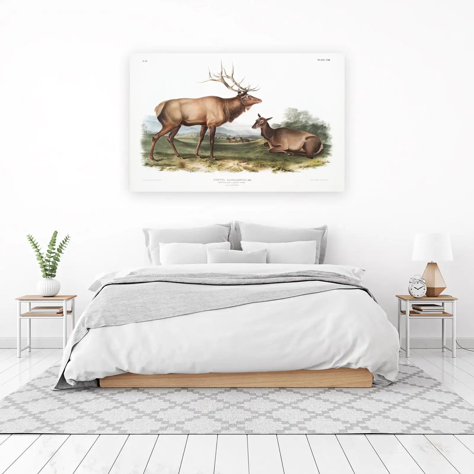 Majestic Elk & Doe Wildlife Wall Art
