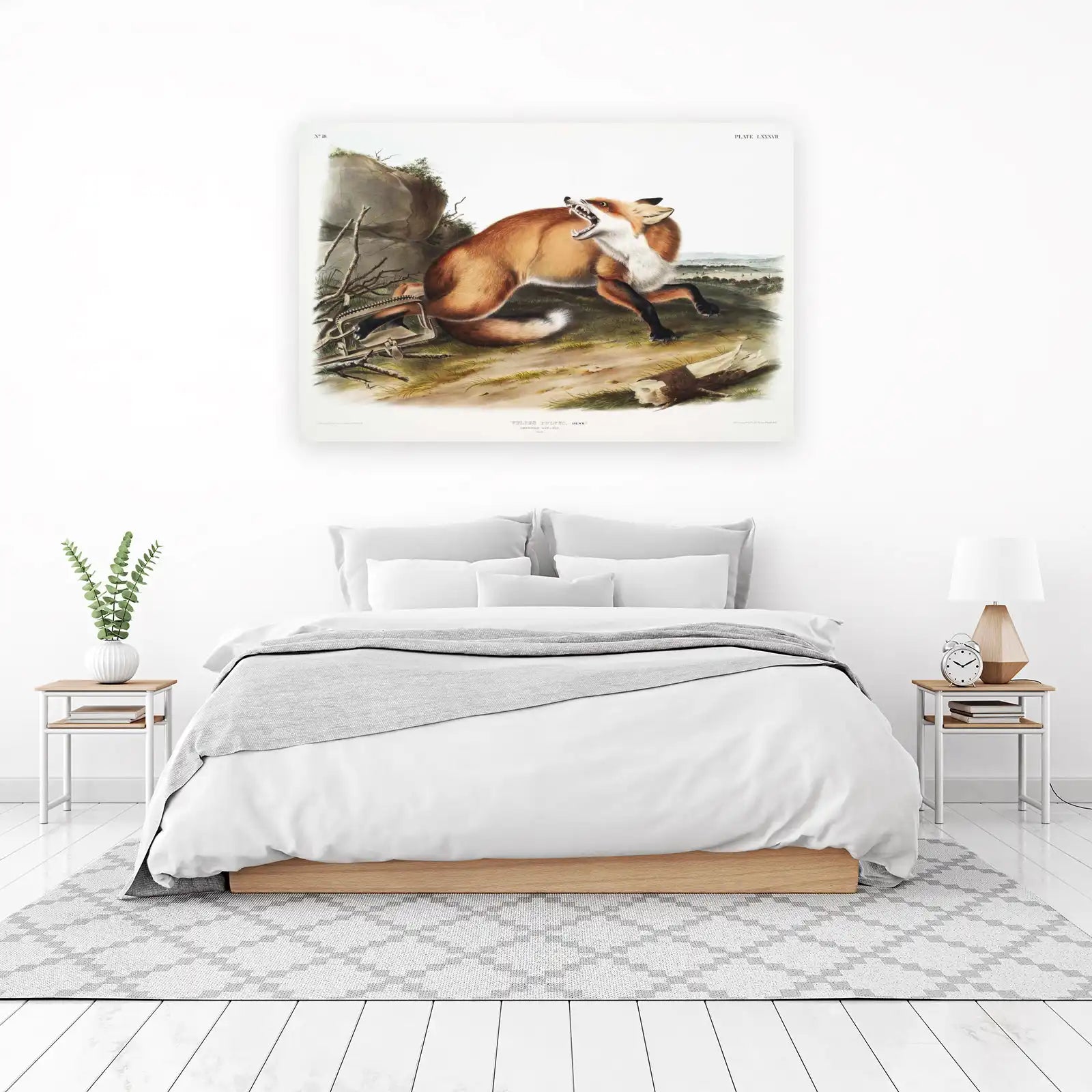 Vibrant Red Fox Wildlife Art Wall Art